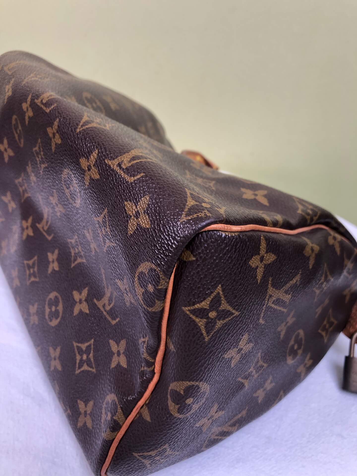 Louis Vuitton Speedy 25 Handbag