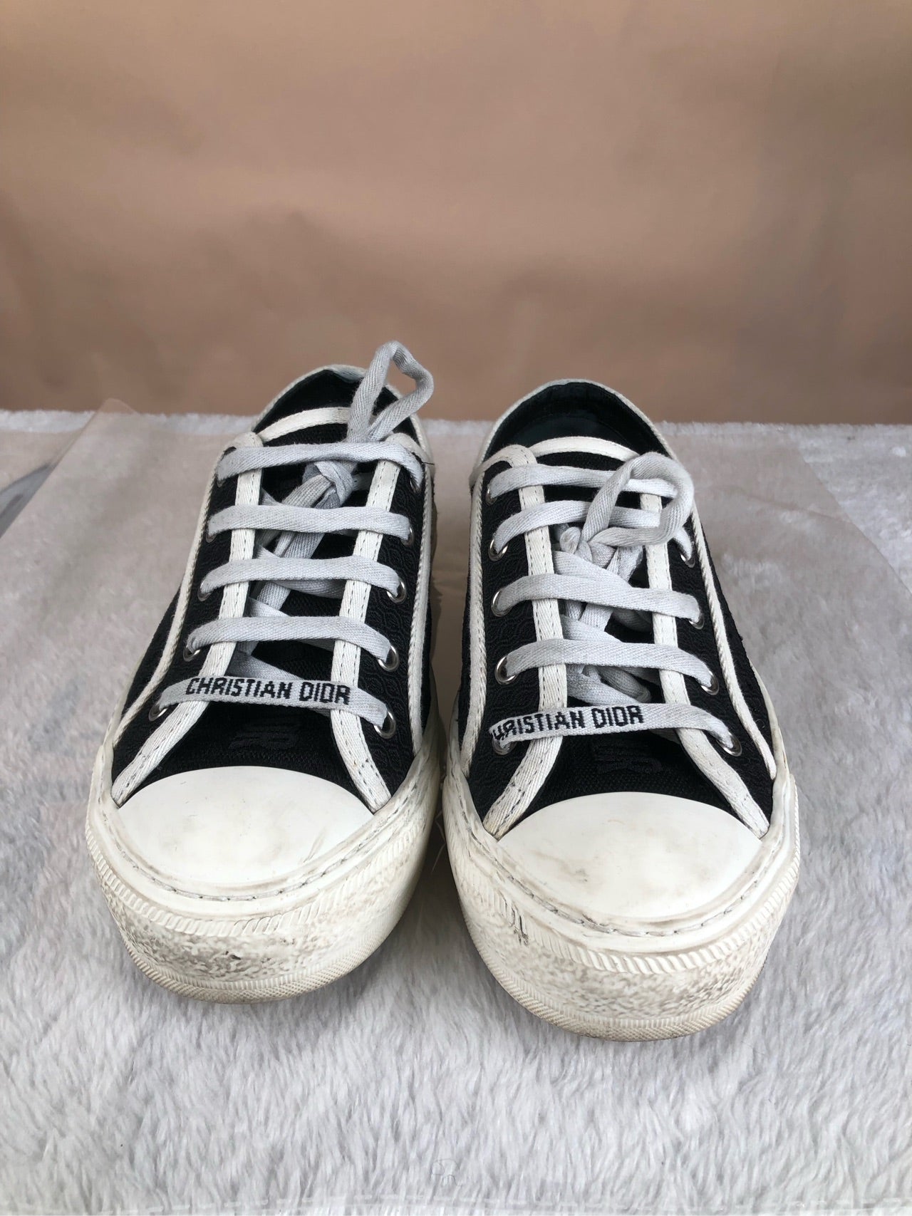 Dior Skate shoes