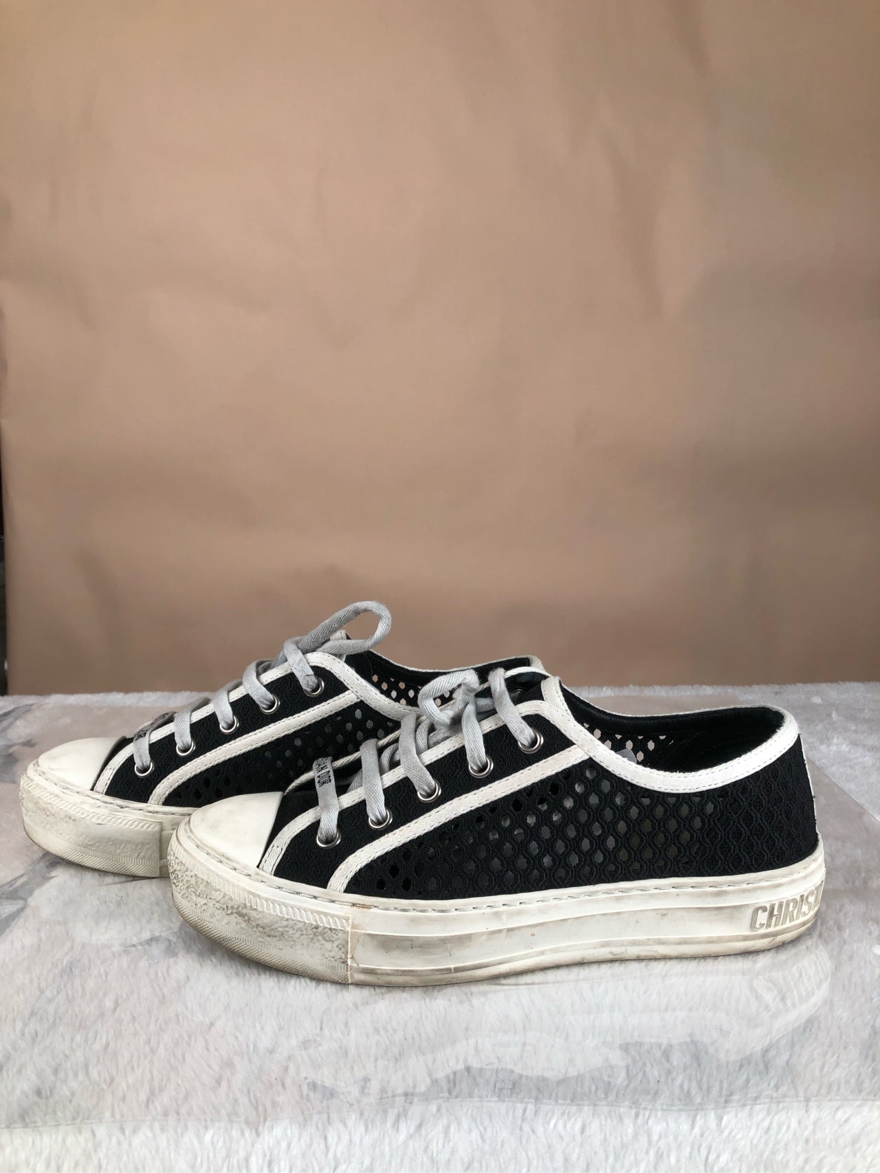 Dior Skate shoes
