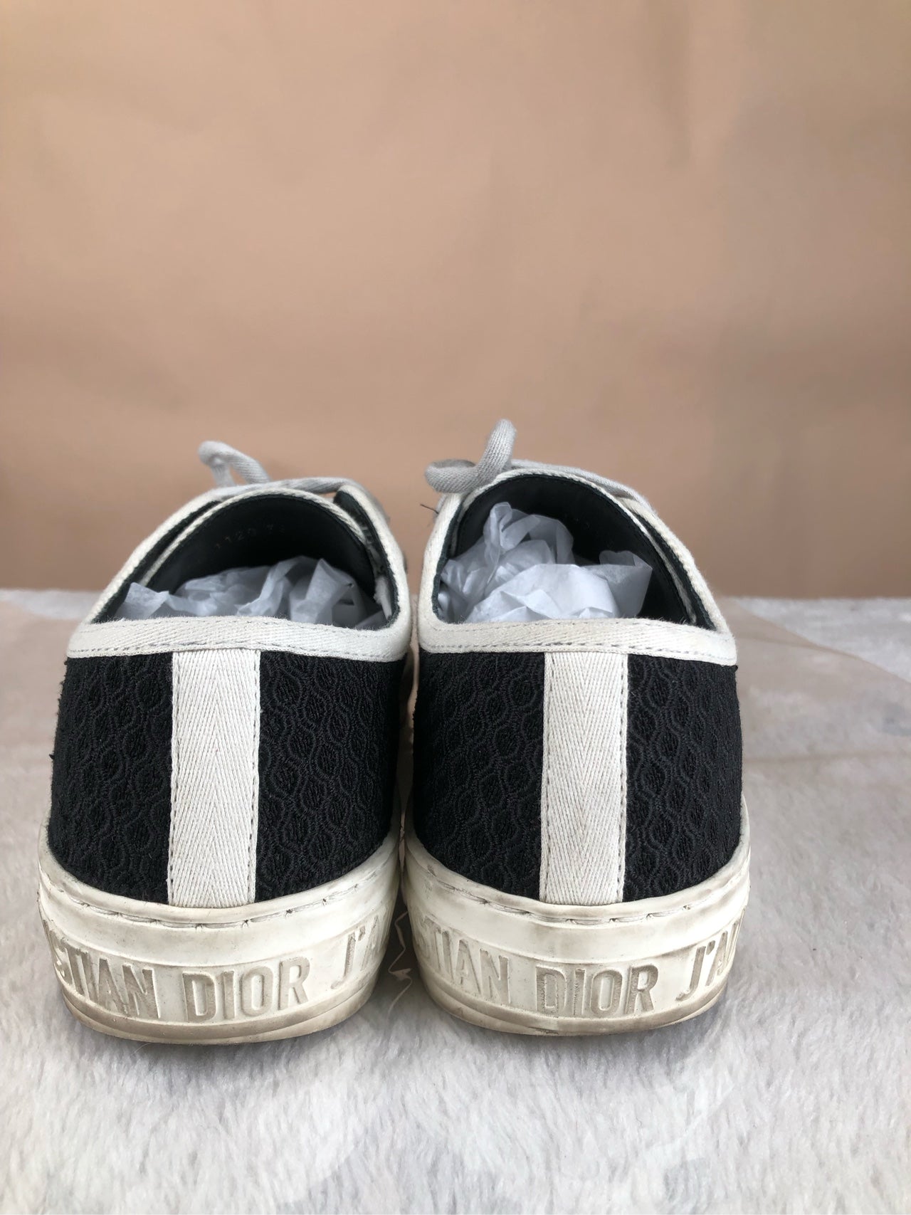 Dior Skate shoes