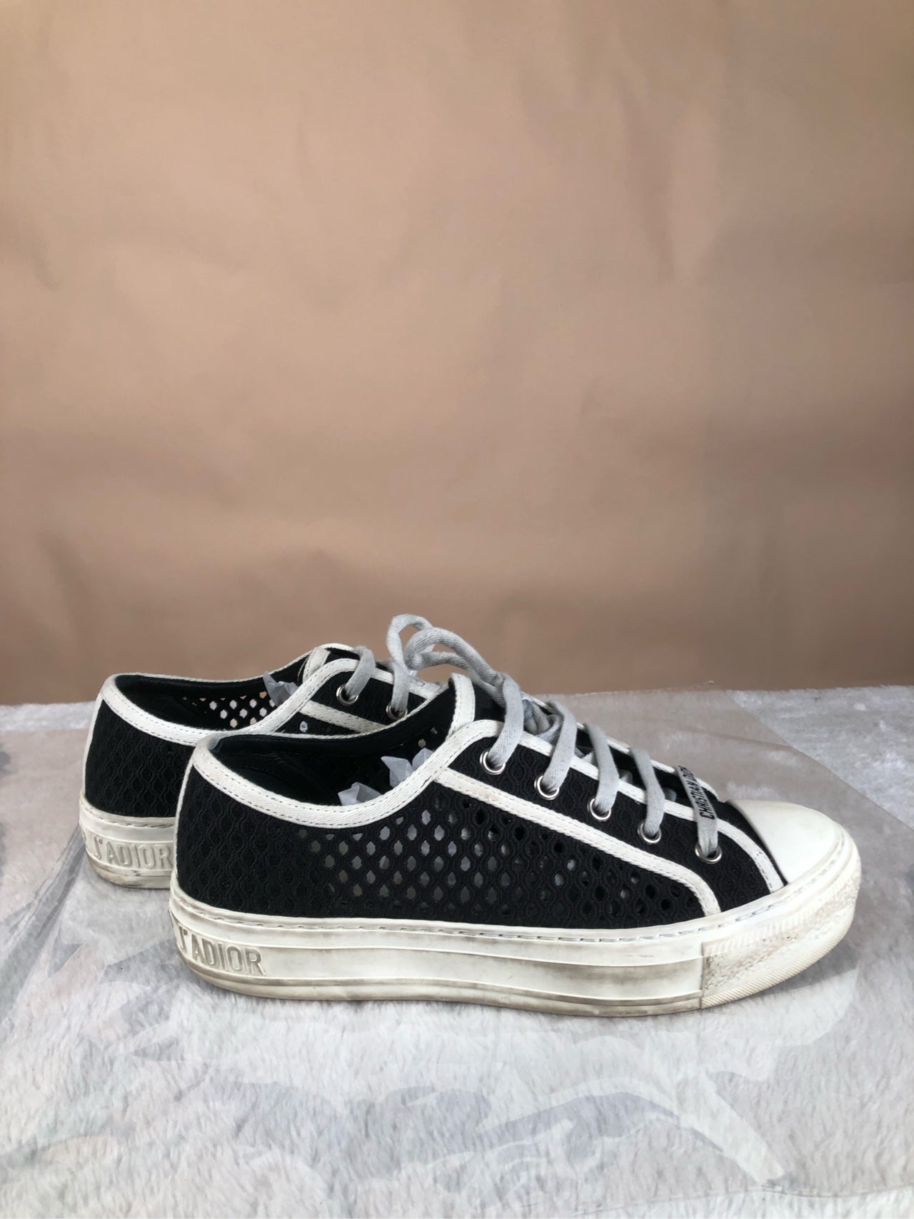 Dior Skate shoes