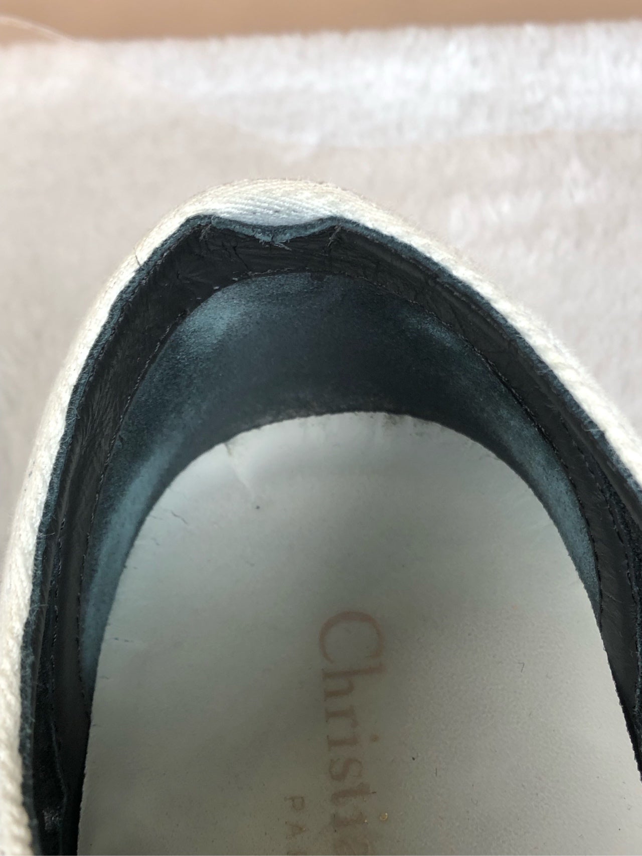 Dior Skate shoes