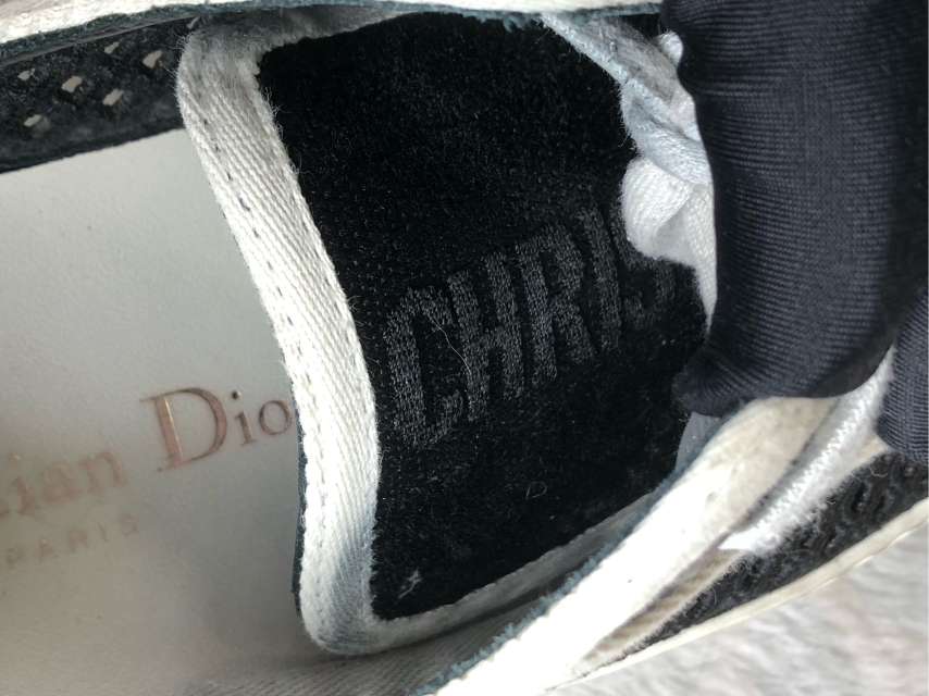 Dior Skate shoes