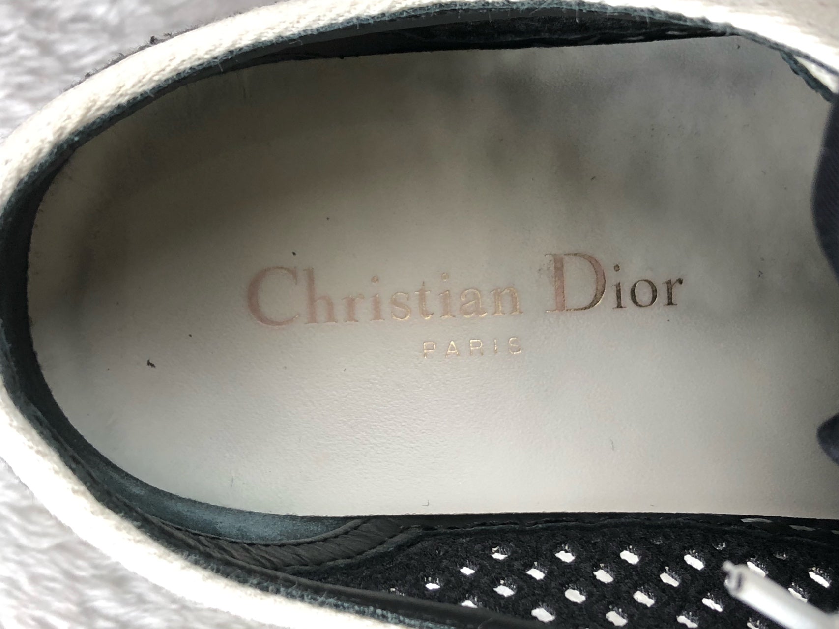 Dior Skate shoes