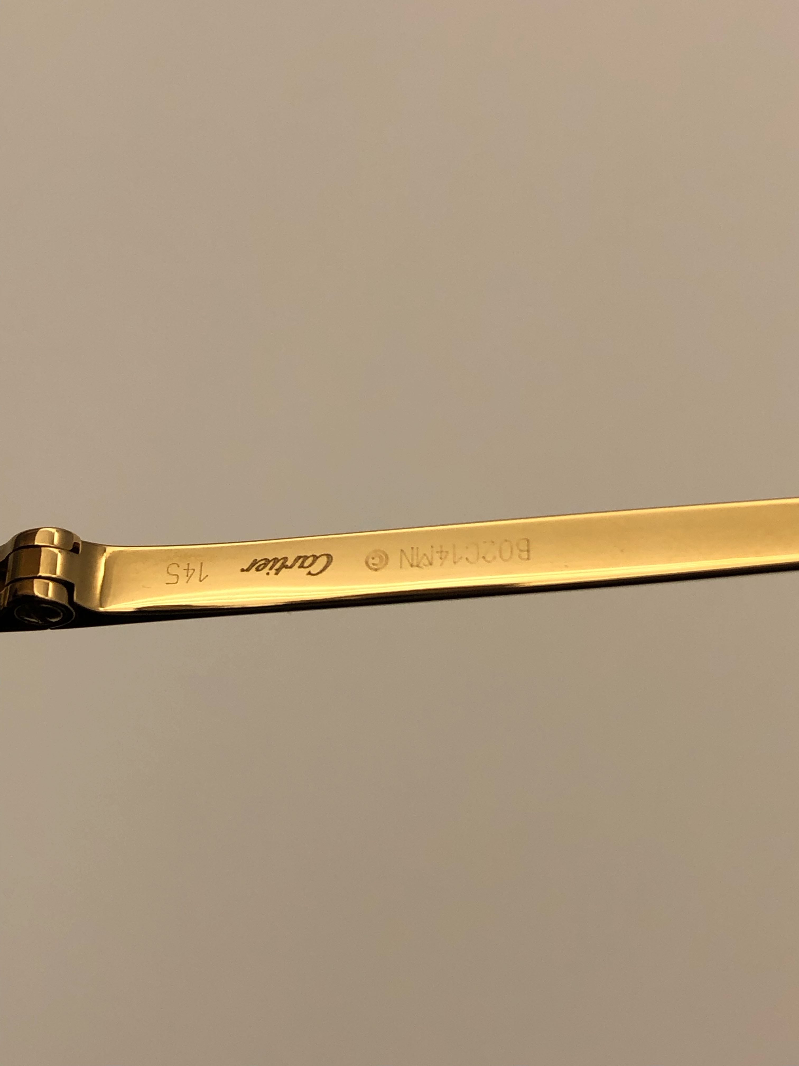 Cartier Sunglasses