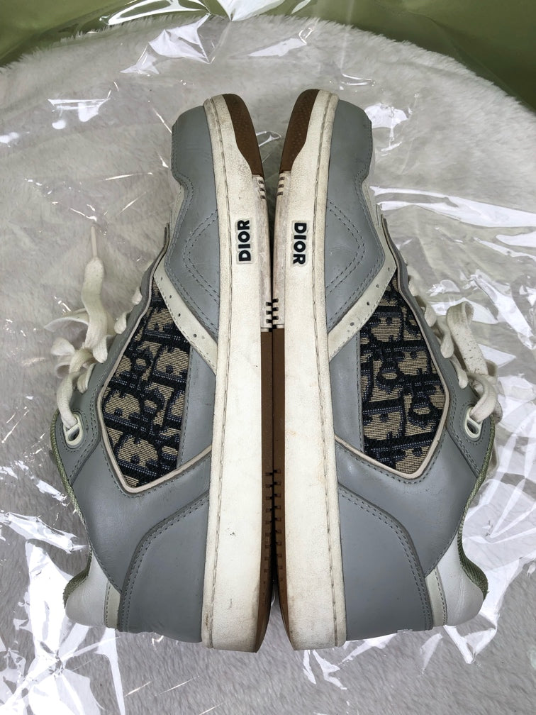 Dior Skate shoes