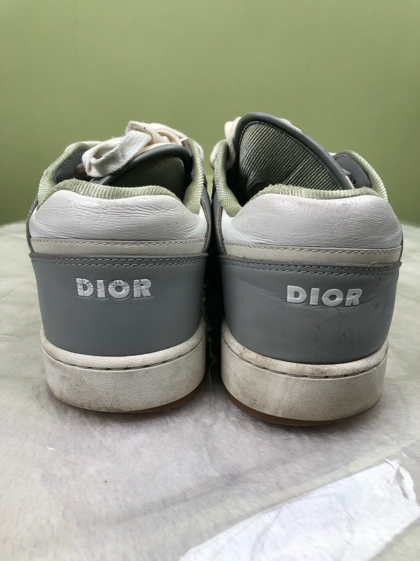 Dior Skate shoes