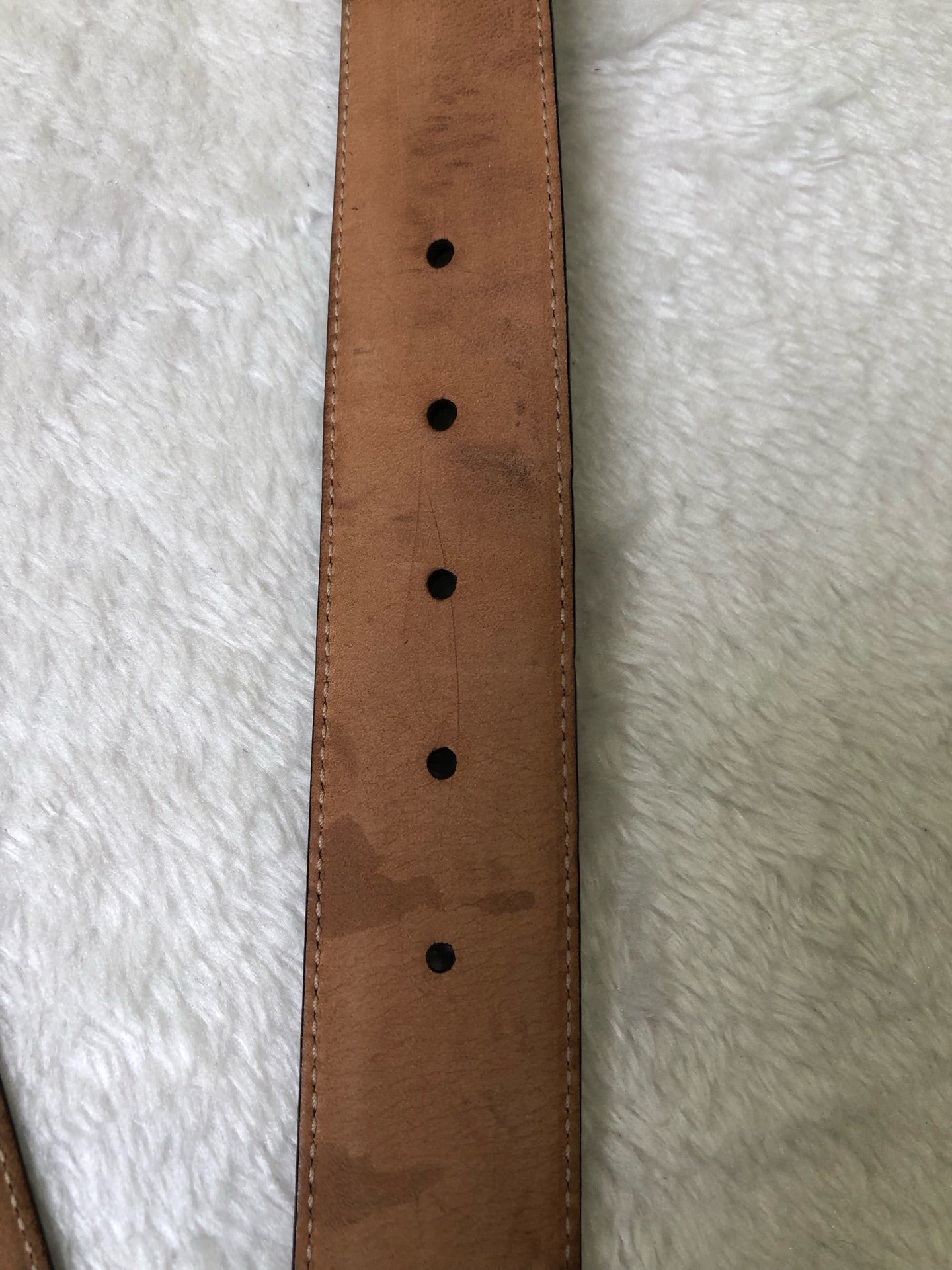 Gucci Black Belt