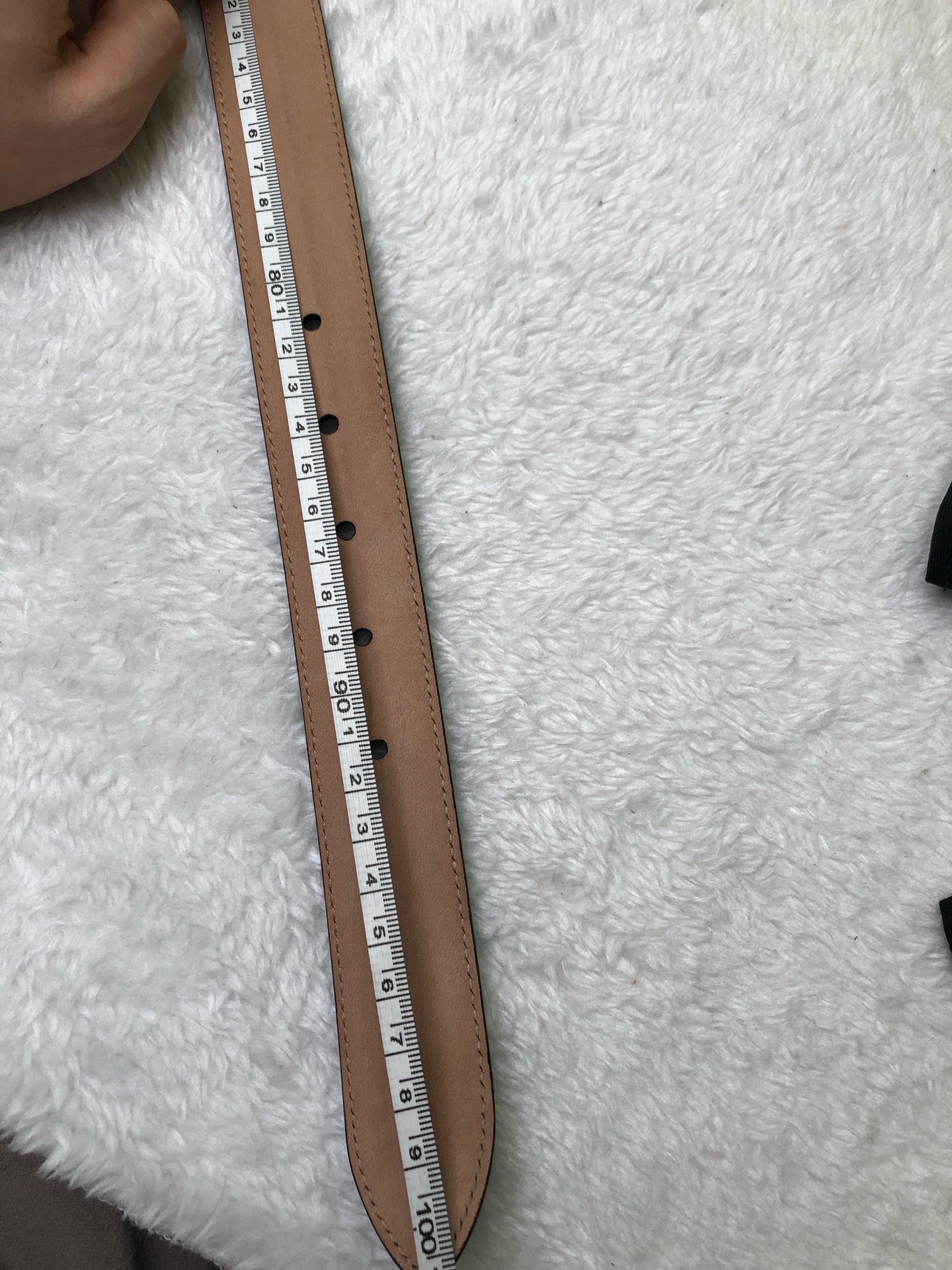 Gucci Black Belt
