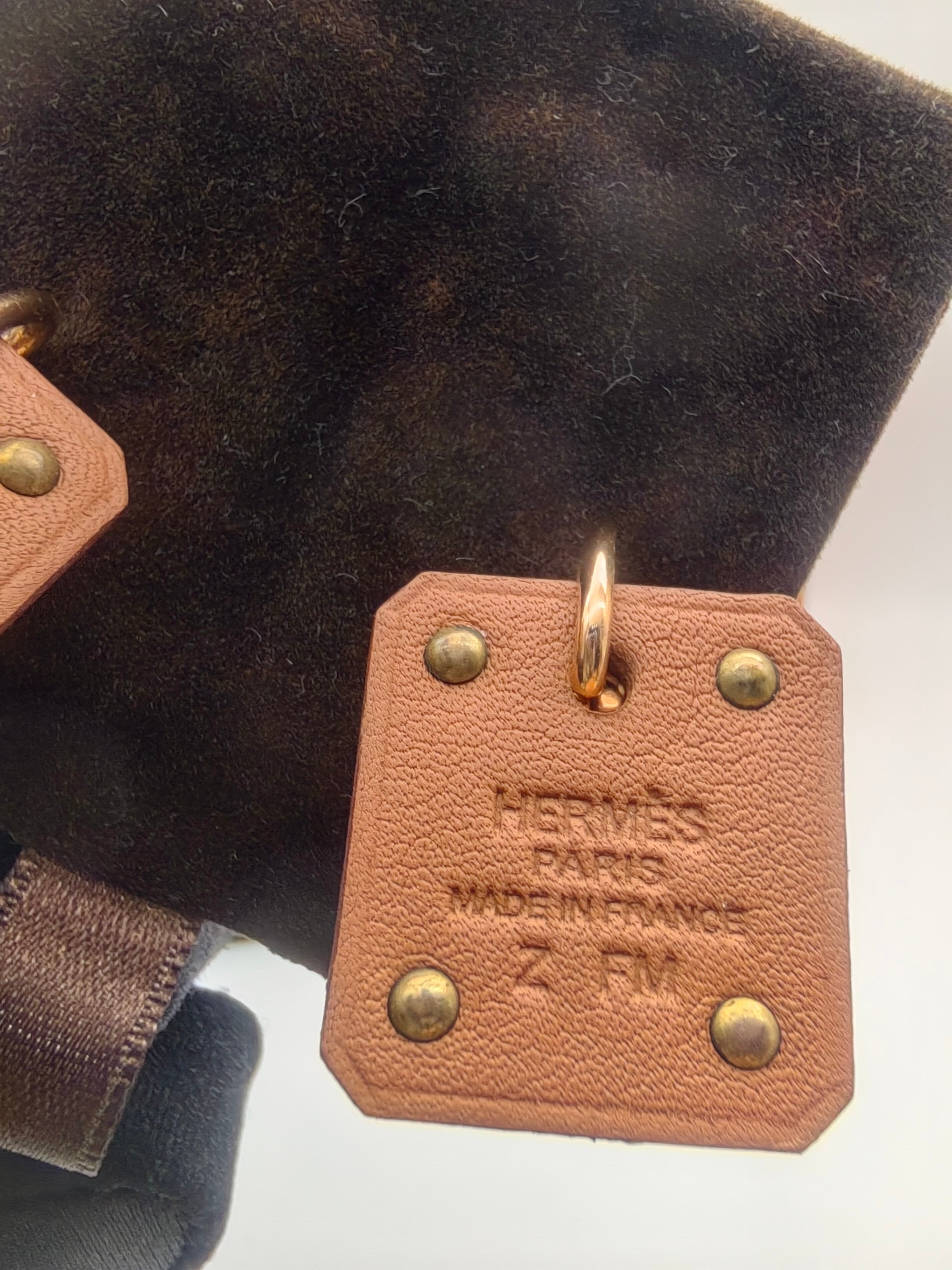 Hermes Earrings