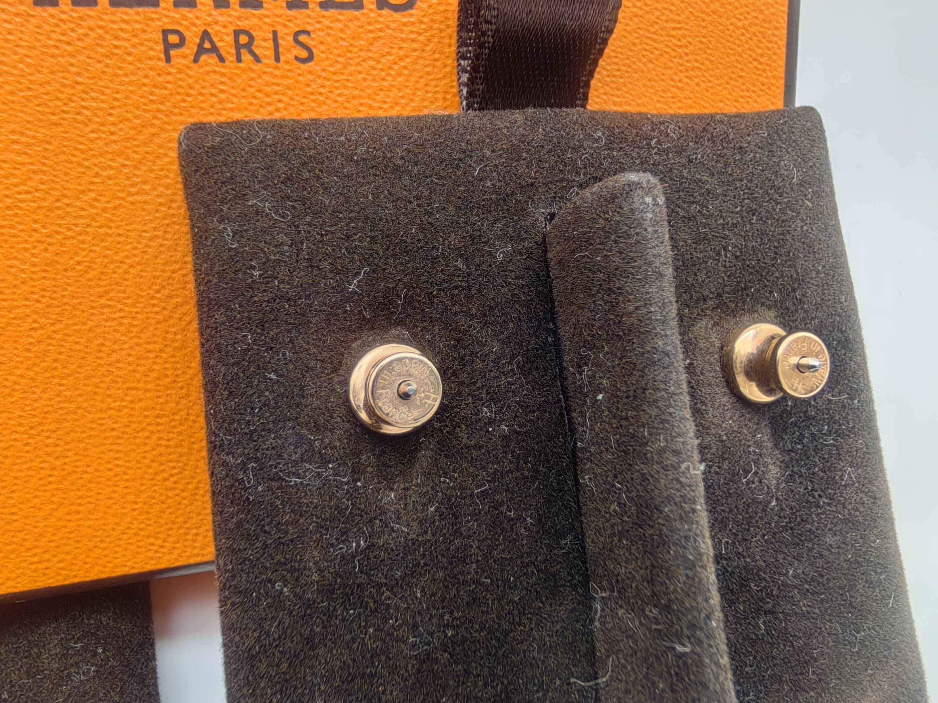Hermes Earrings