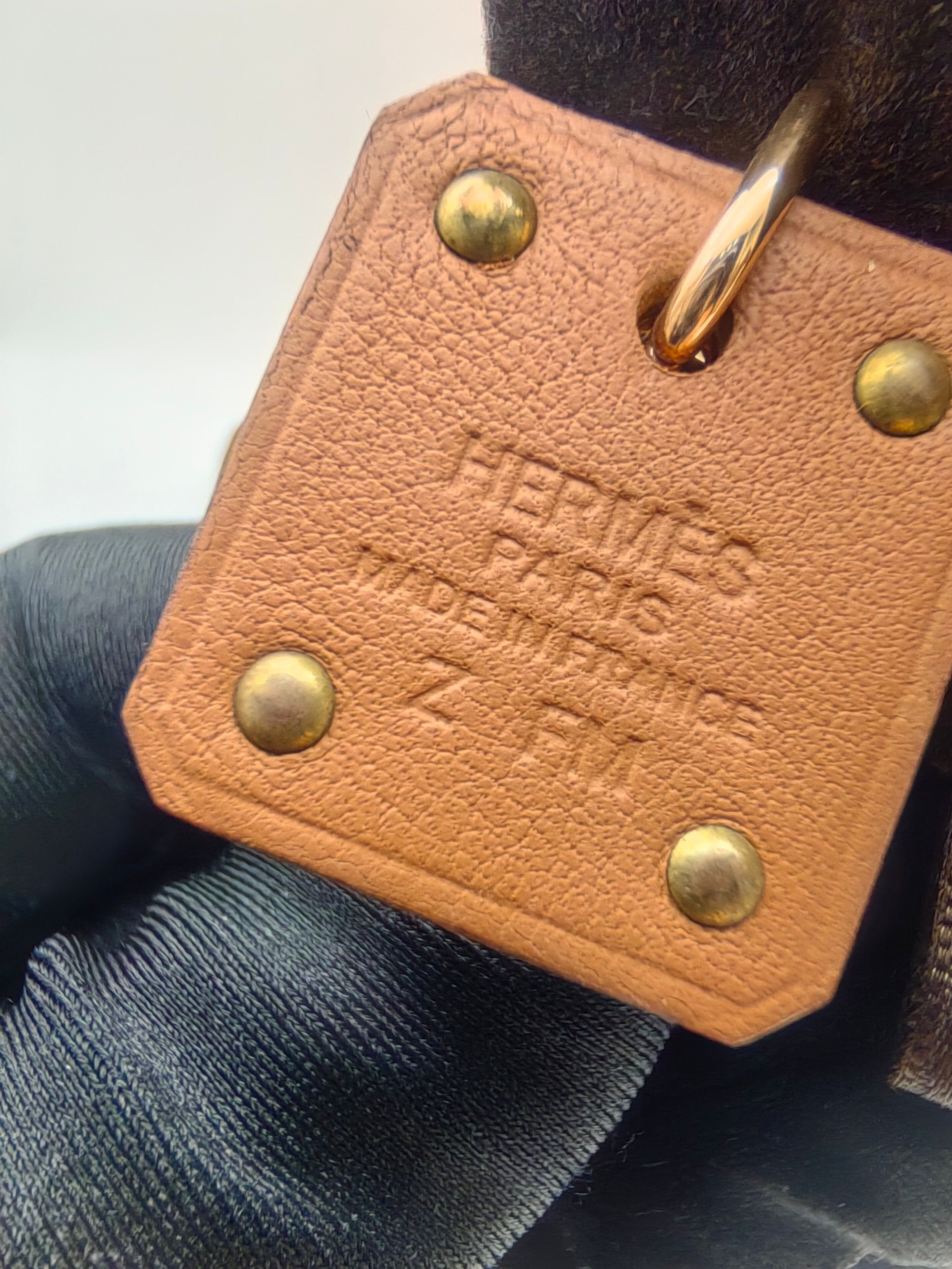 Hermes Earrings