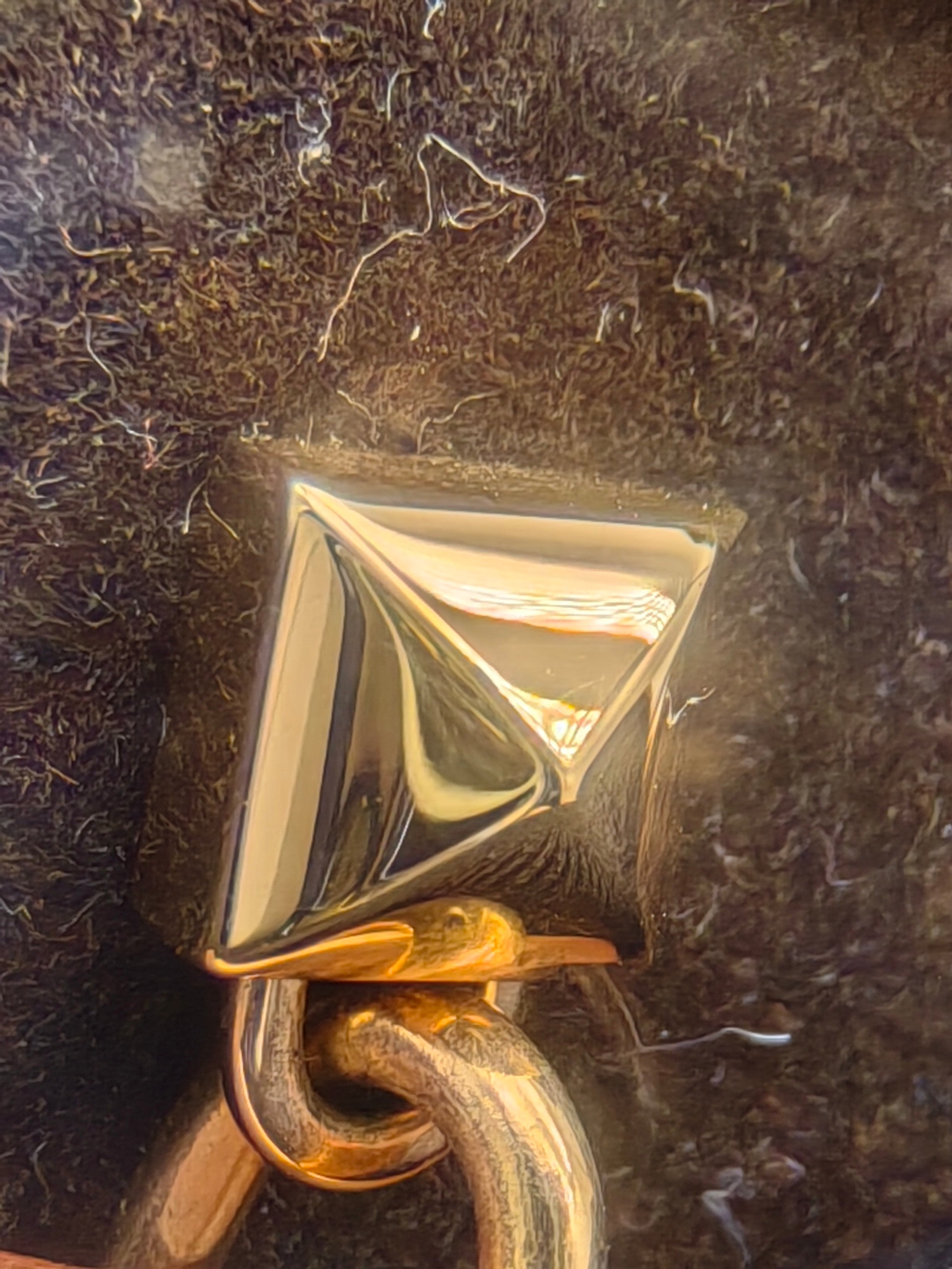 Hermes Earrings