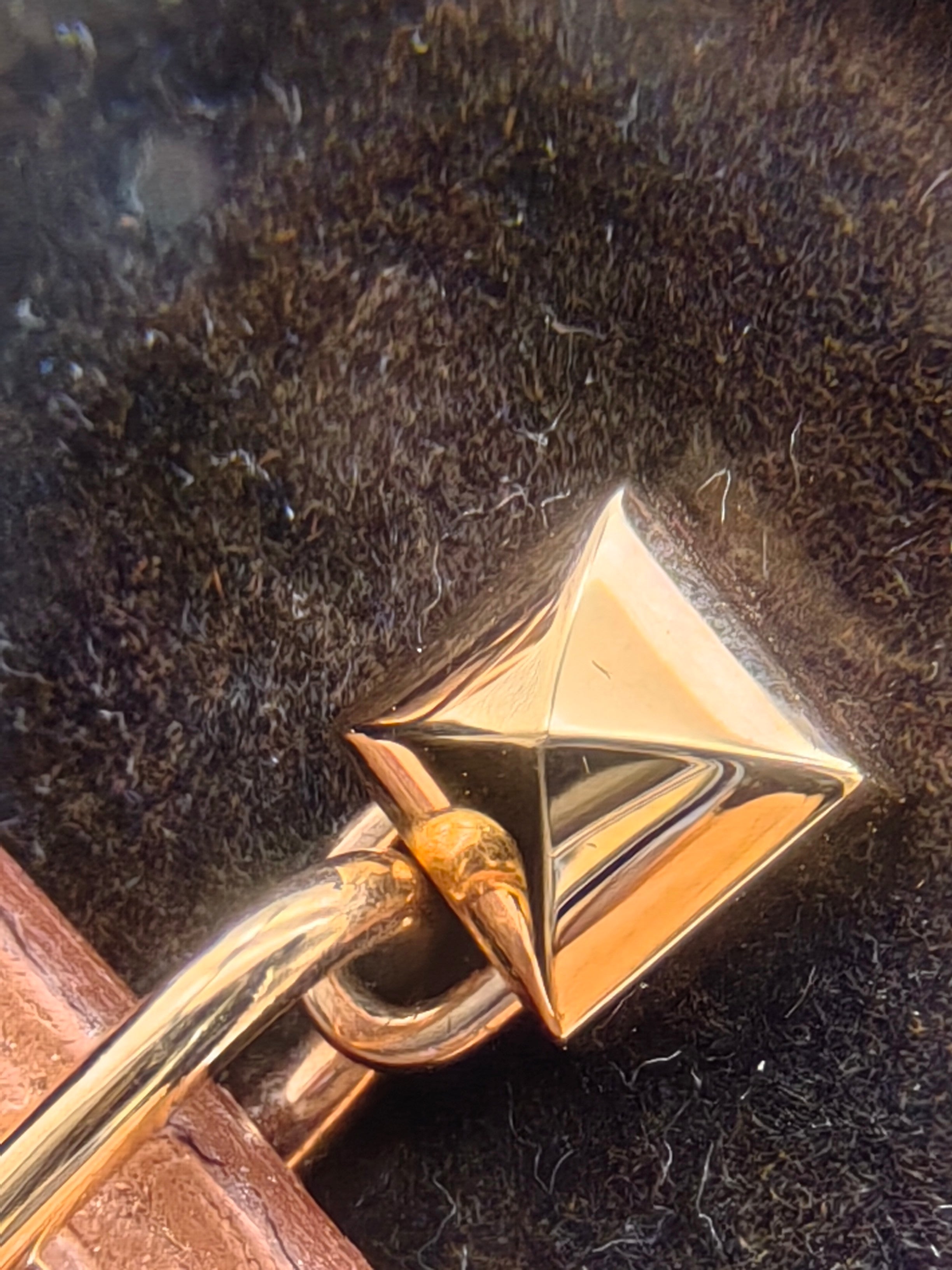Hermes Earrings