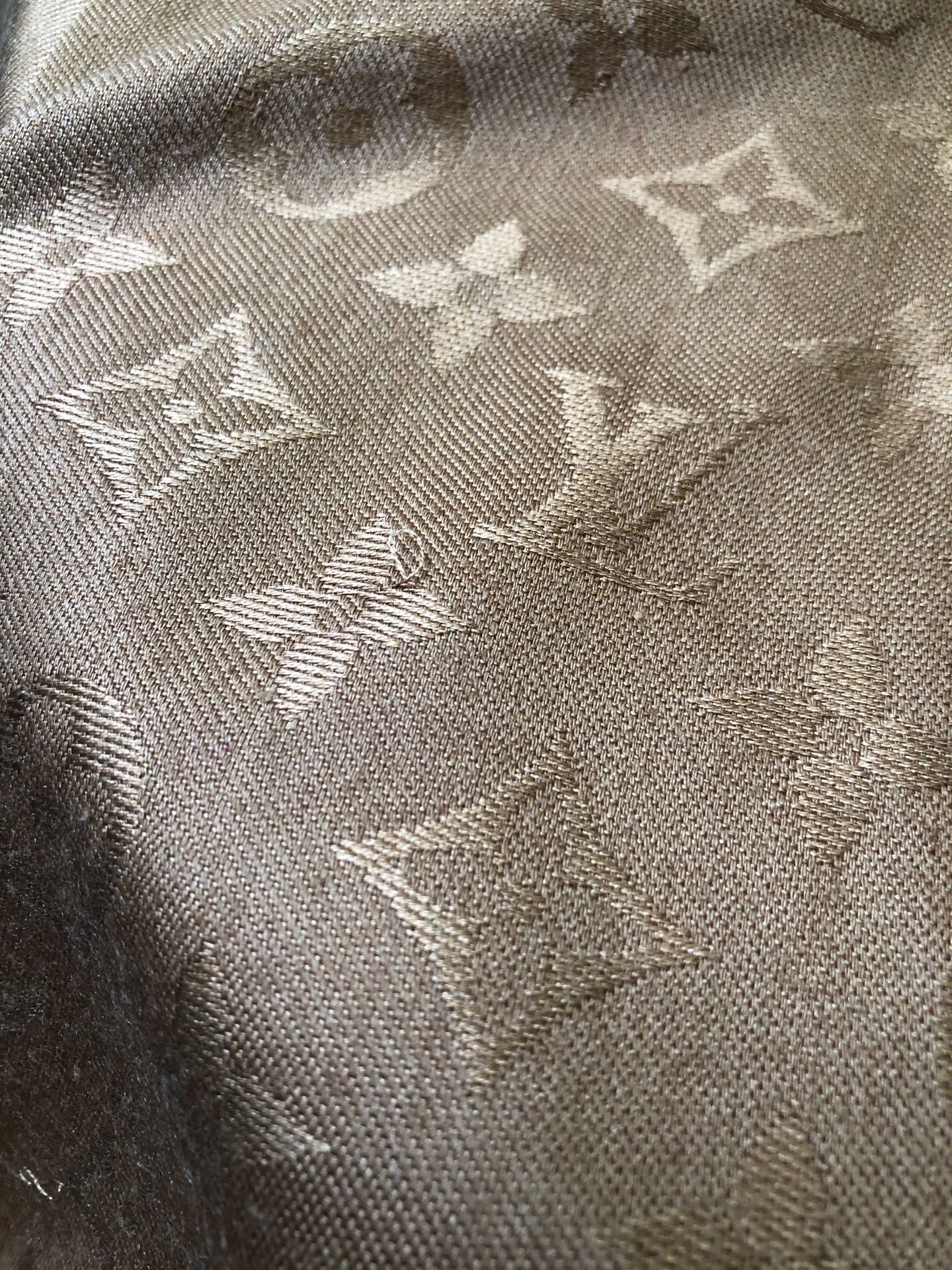 Louis Vuitton Brown Scarf