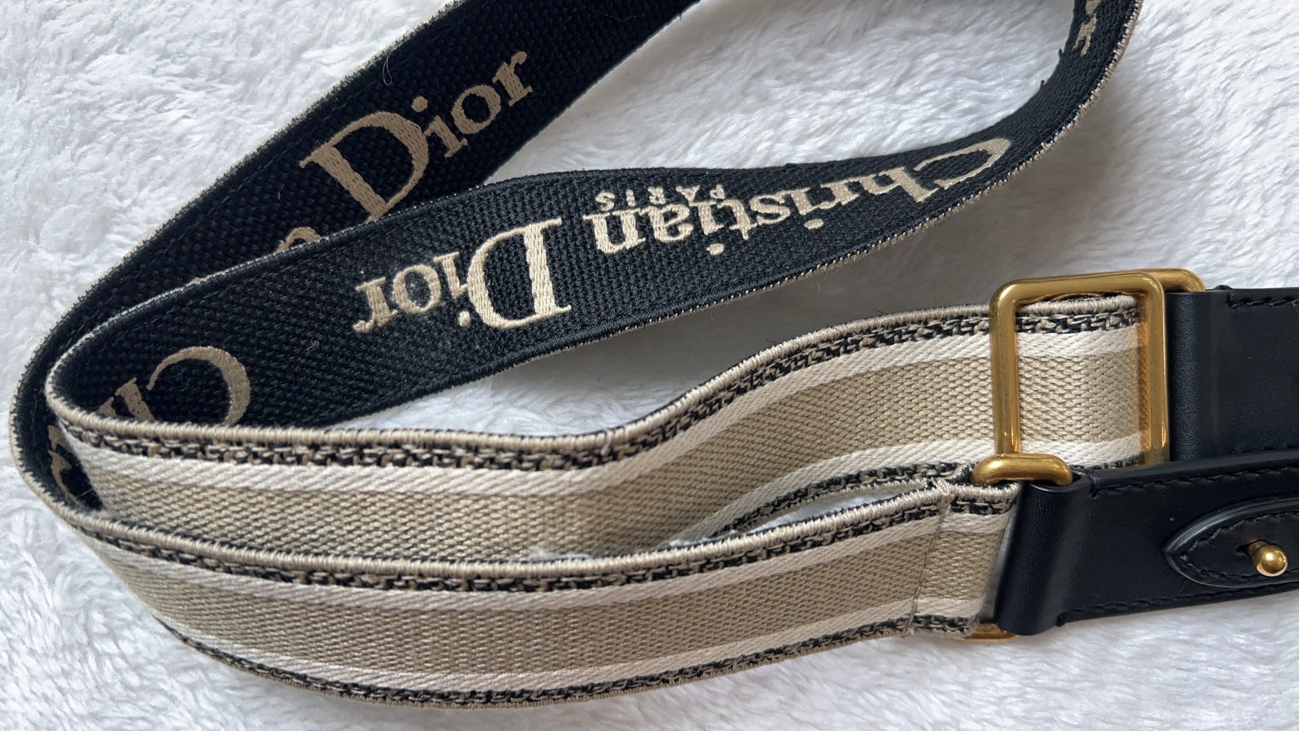 Dior Blue Saddle Bag