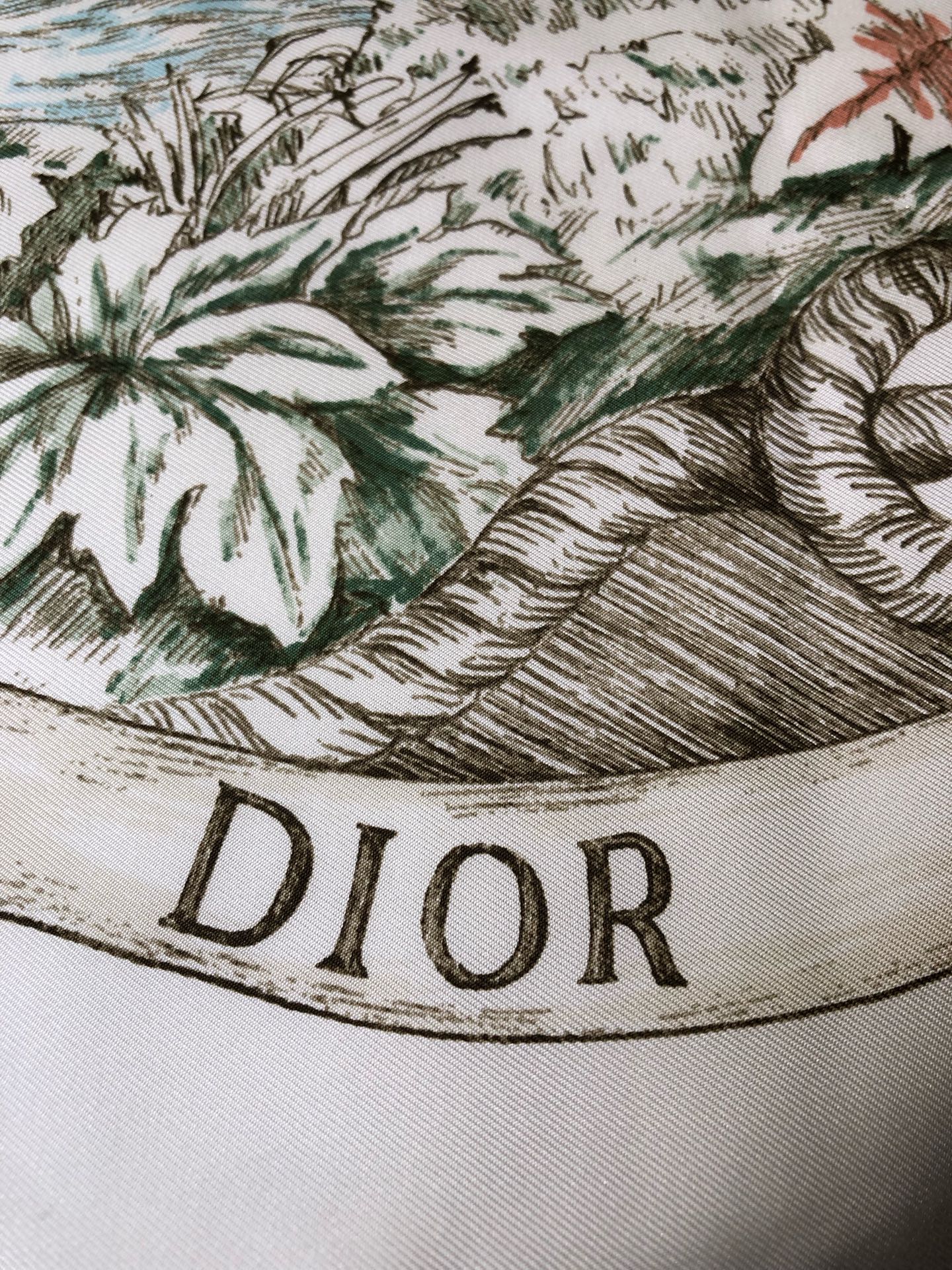 Dior Scarf