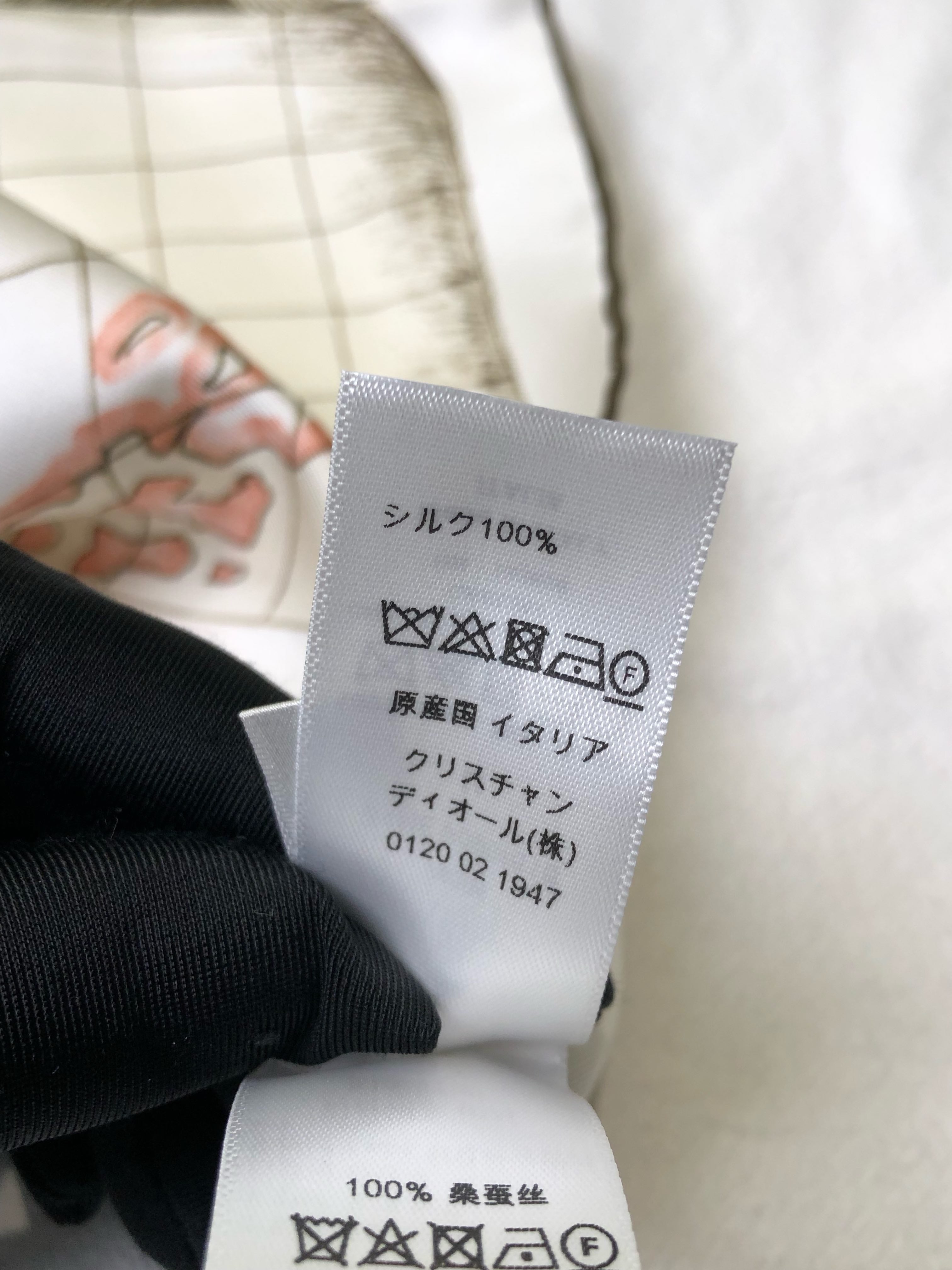 Dior Scarf