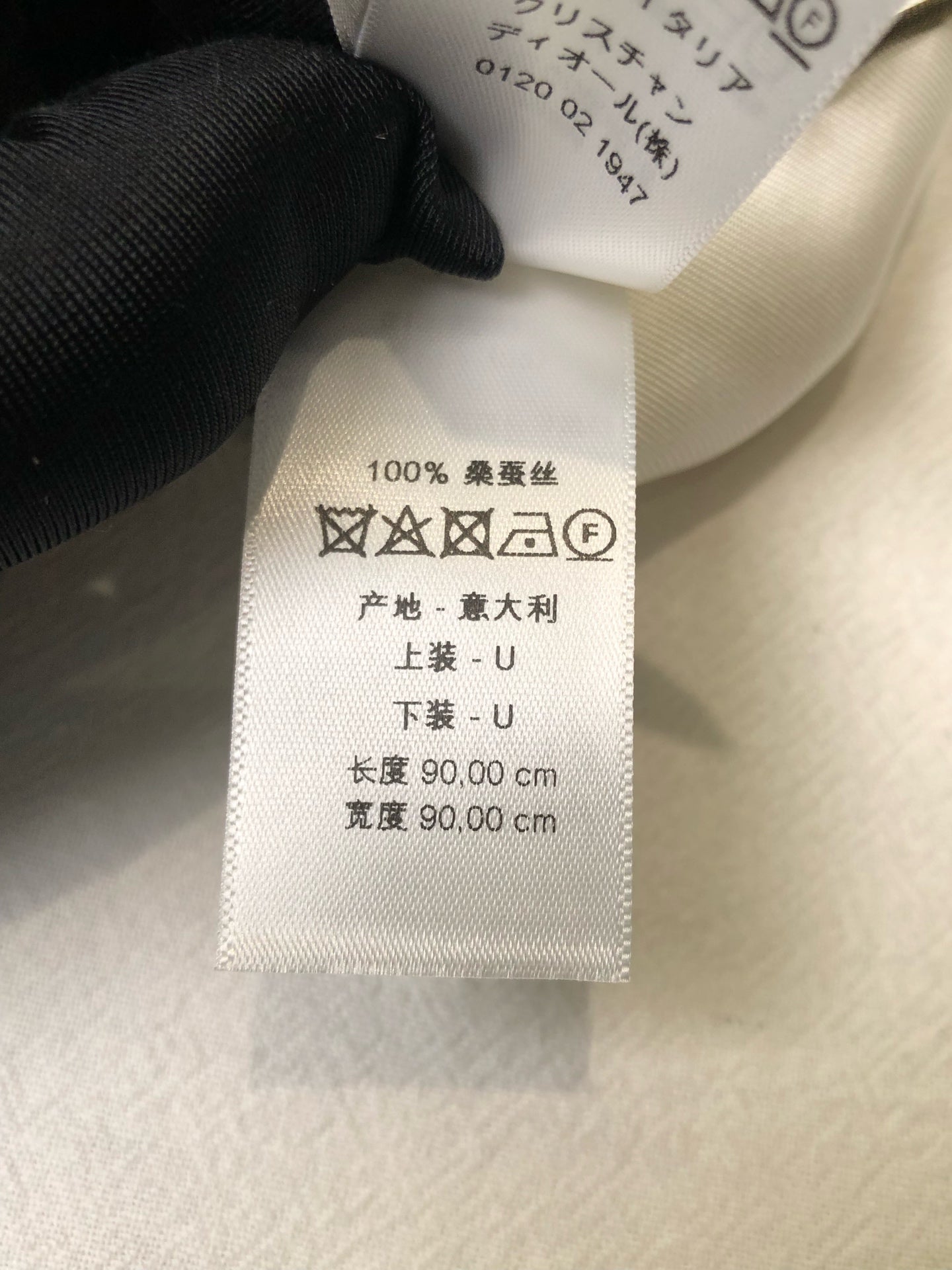 Dior Scarf