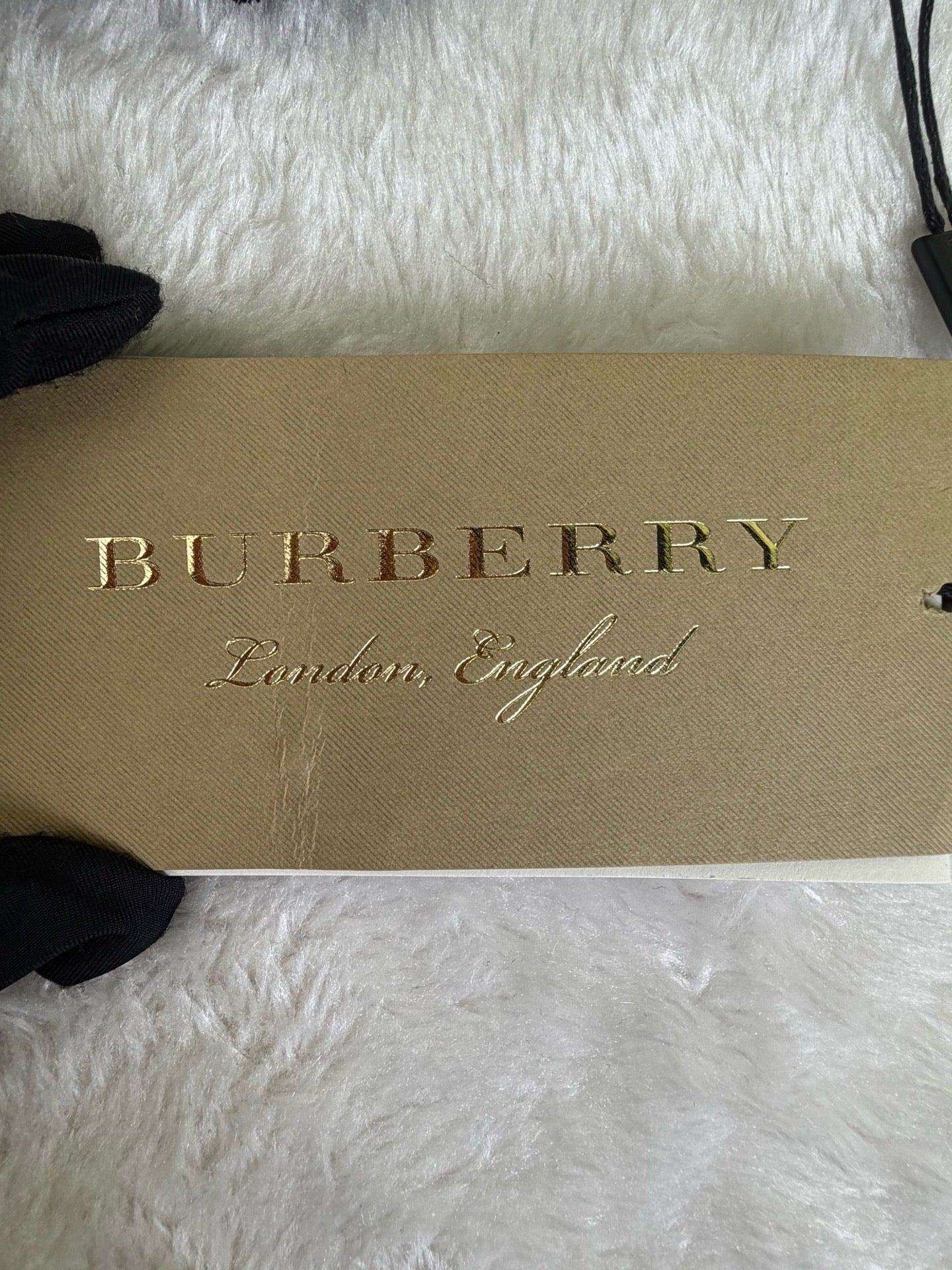 Burberry Cape / Stole