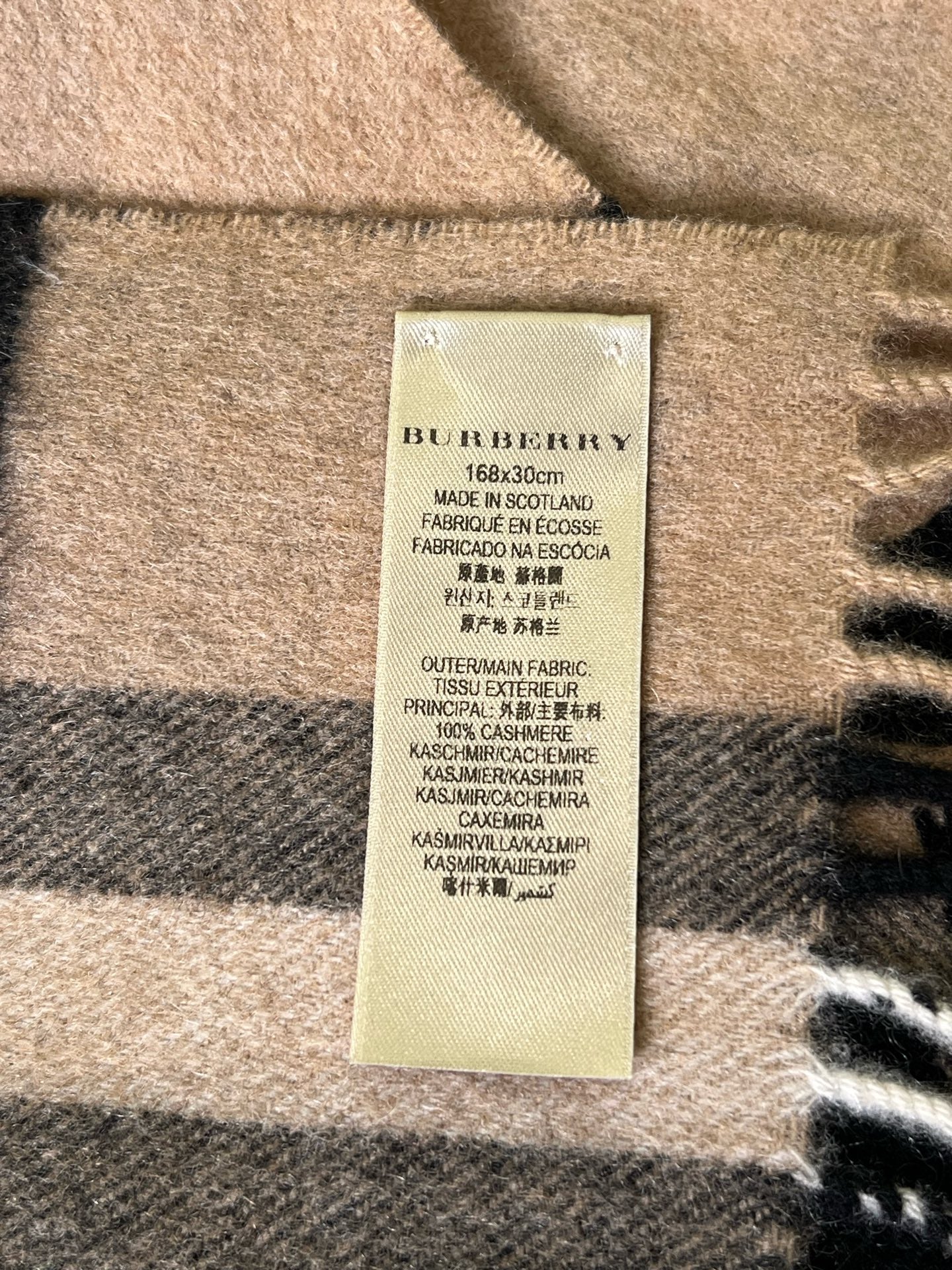Burberry Scarf
