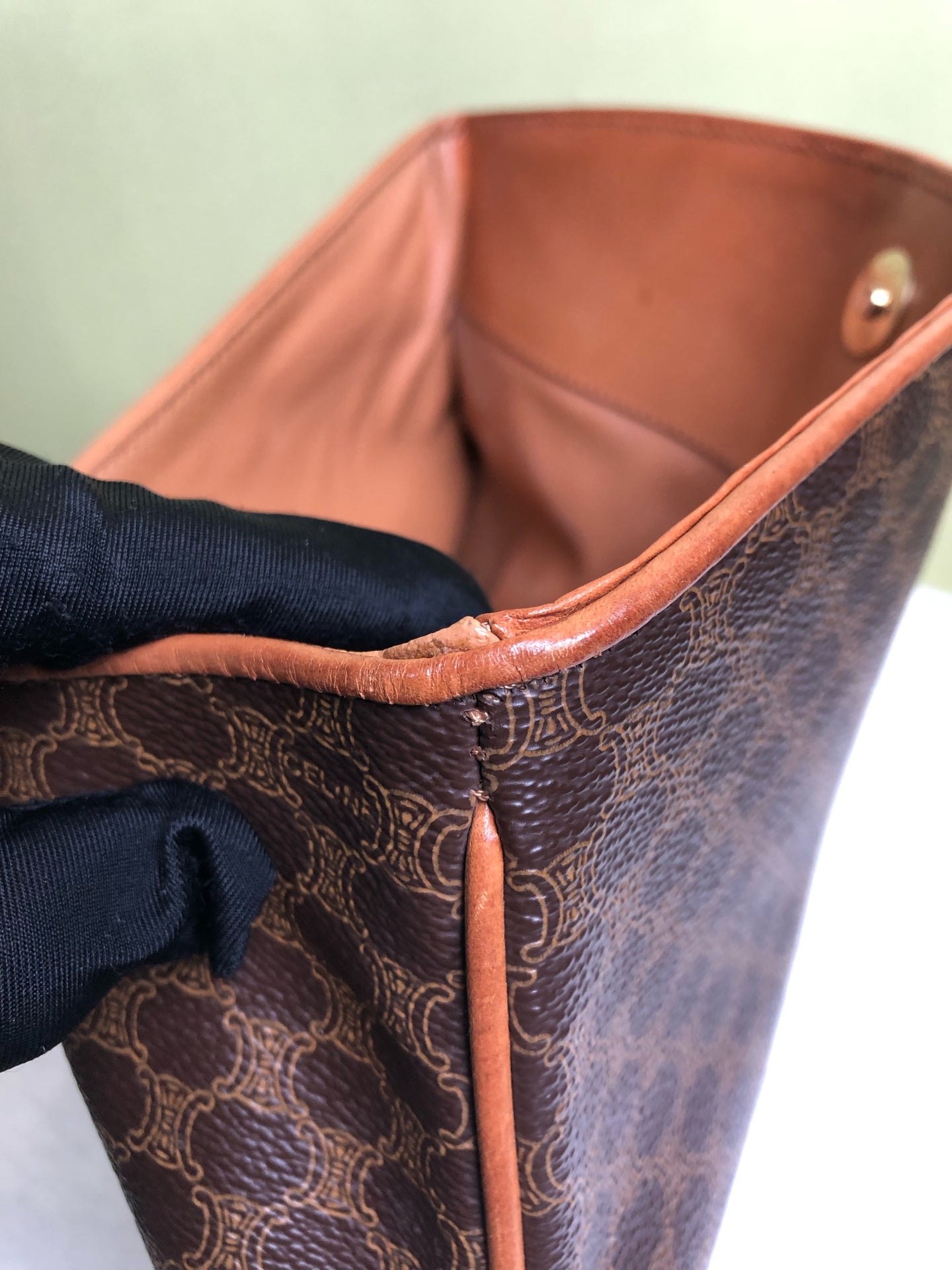 Celine Clutch