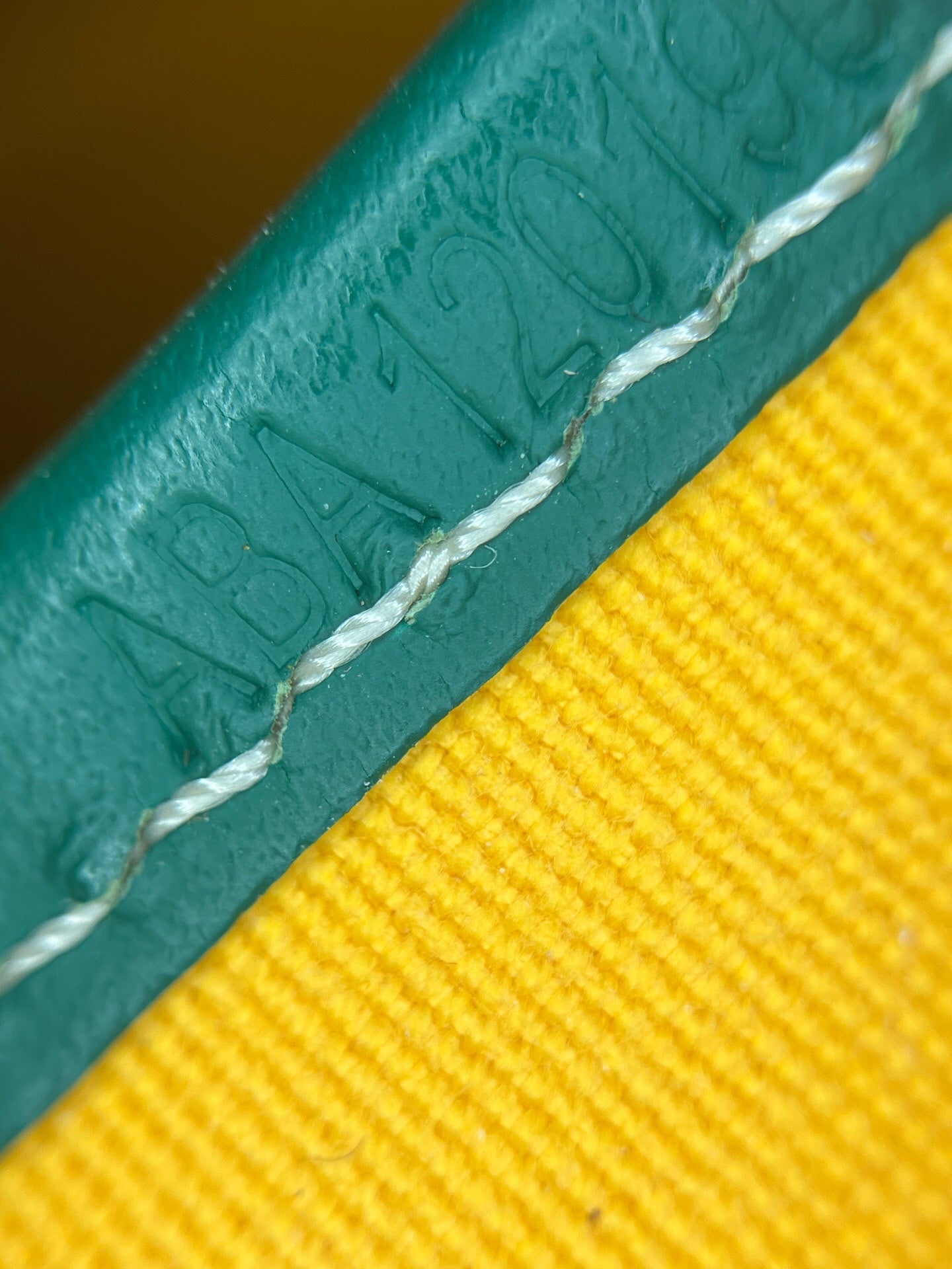 Goyard Green Messenger Bag