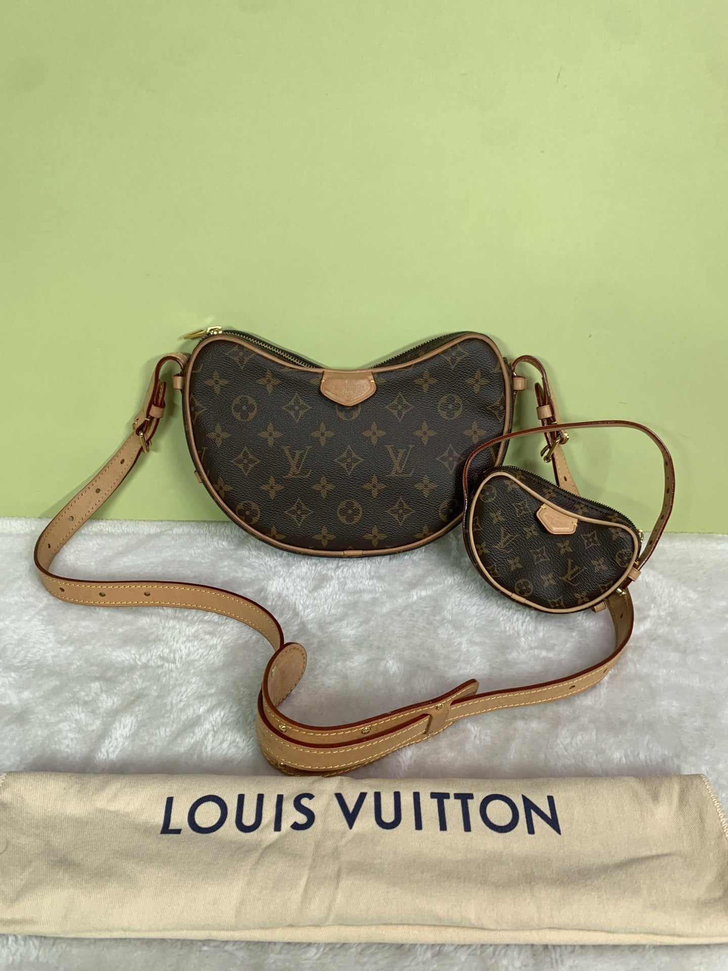 Louis Vuitton Shoulder Bag