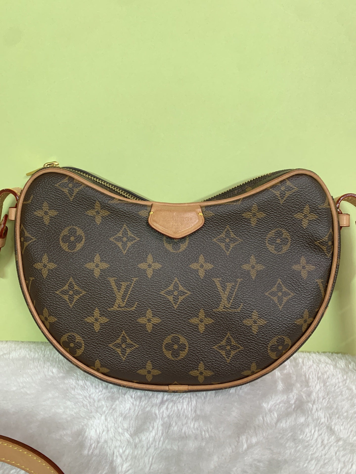 Louis Vuitton Shoulder Bag