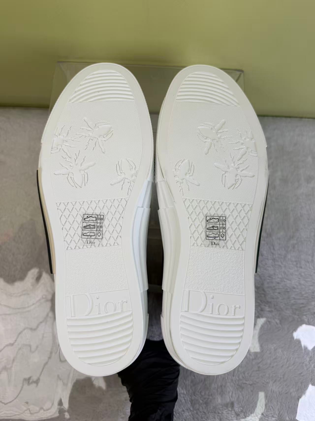 Dior Skate shoes