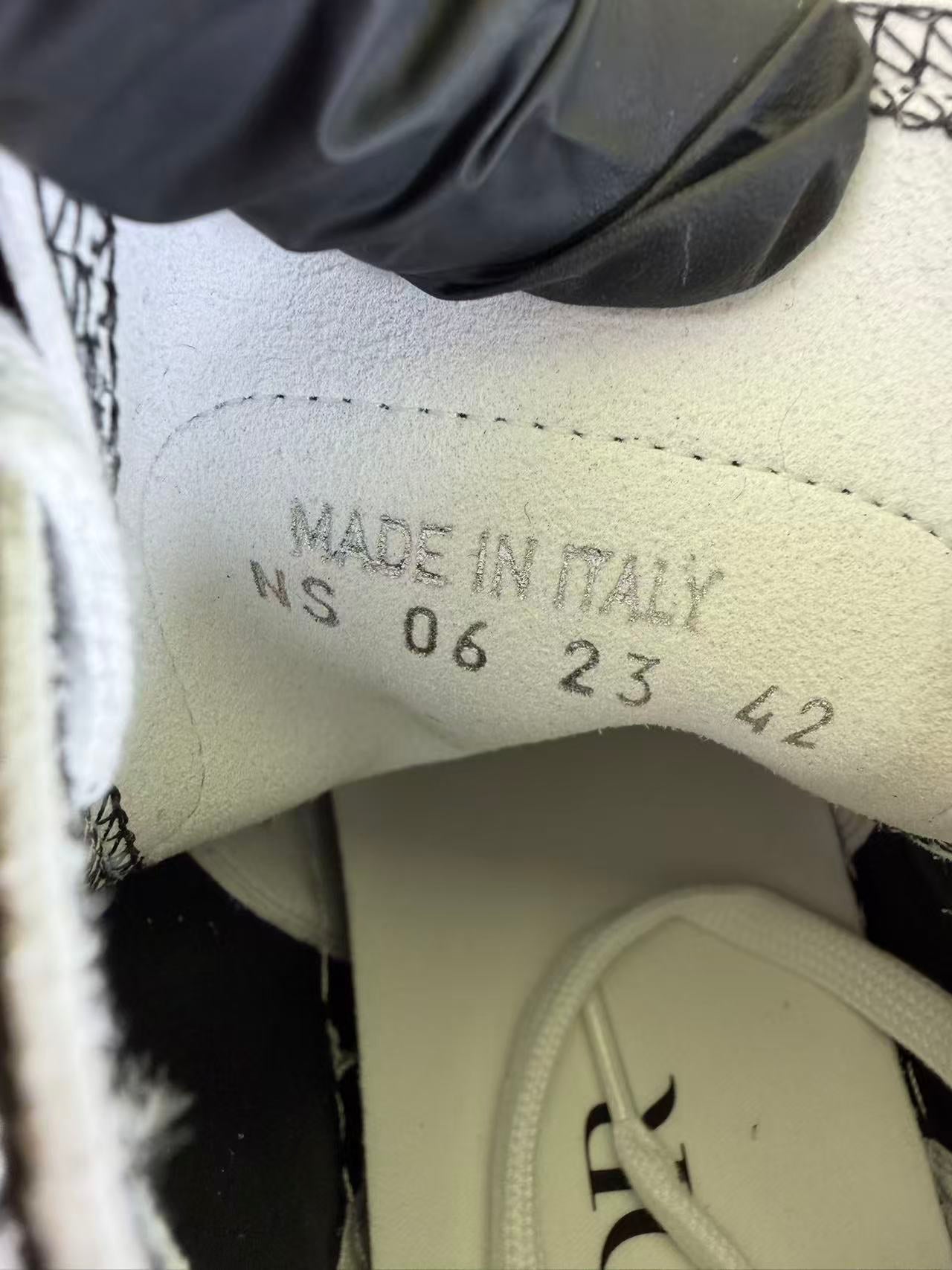Dior Skate shoes