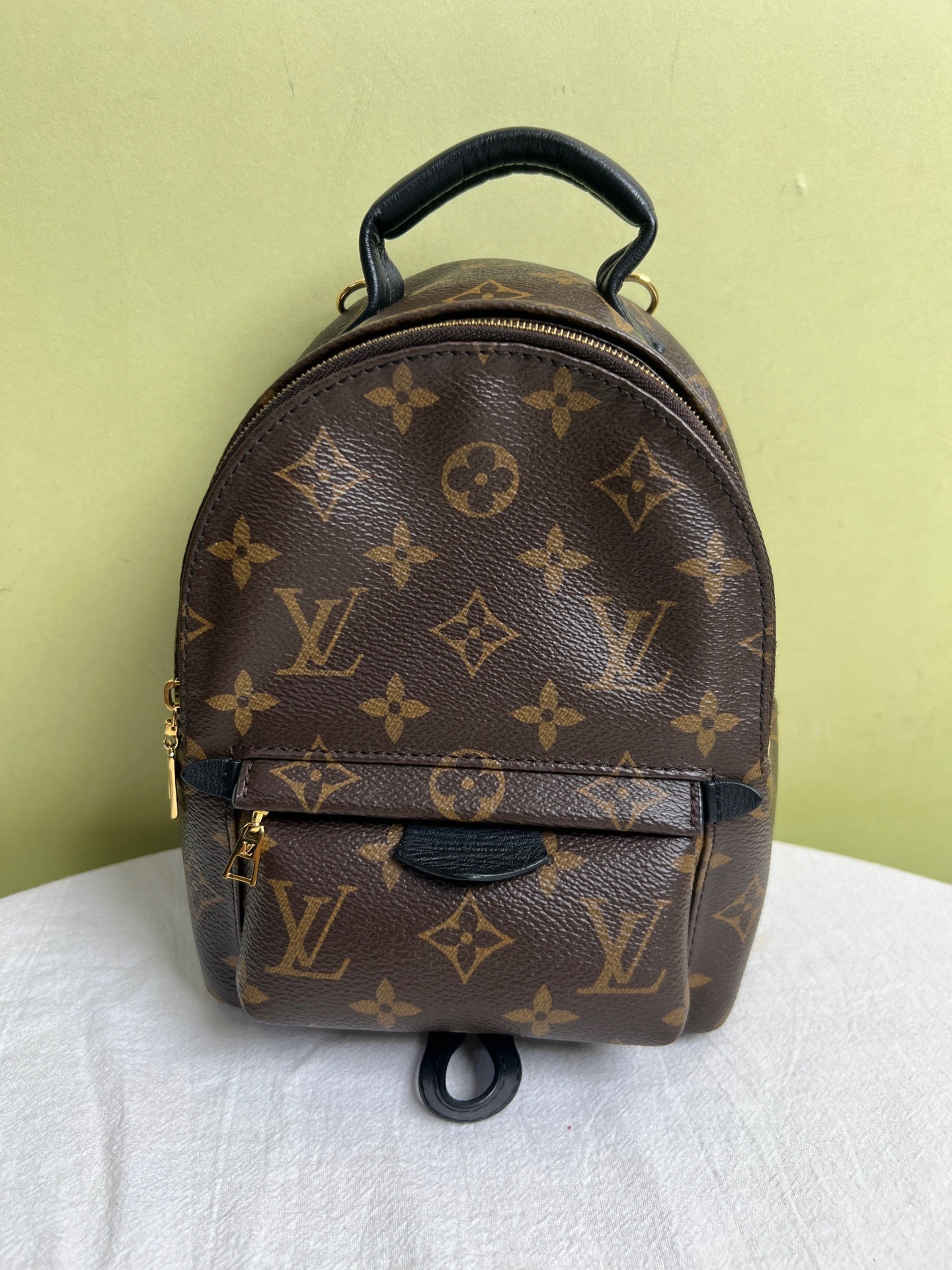 Louis Vuitton Backpack