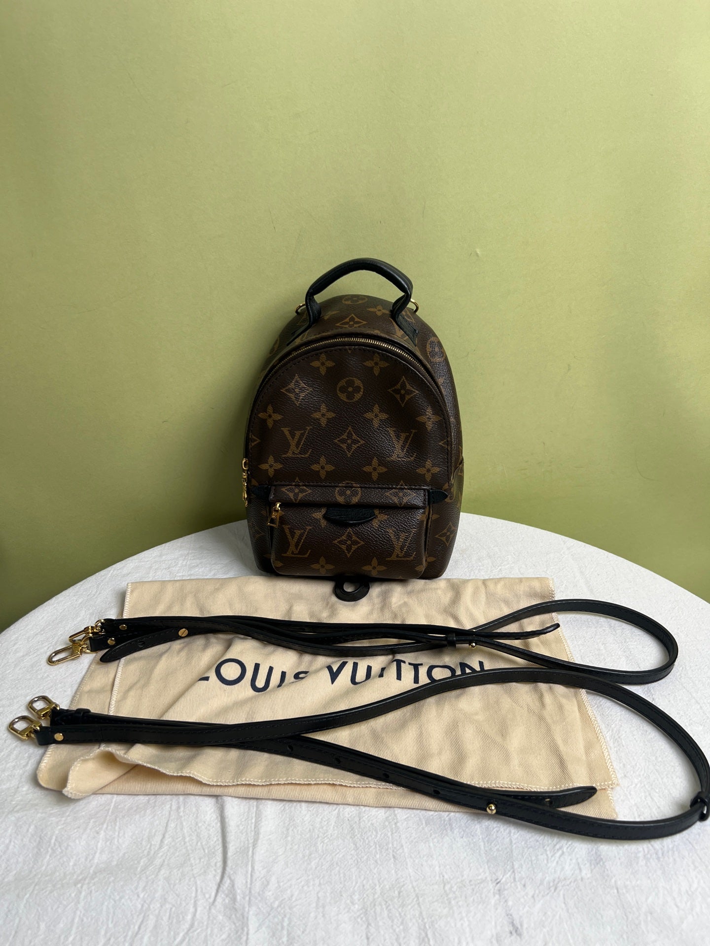 Louis Vuitton Backpack