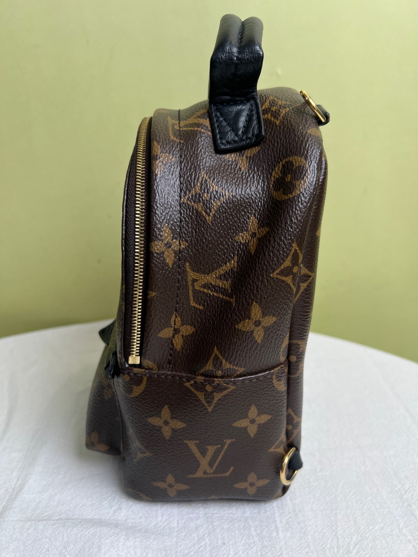Louis Vuitton Backpack