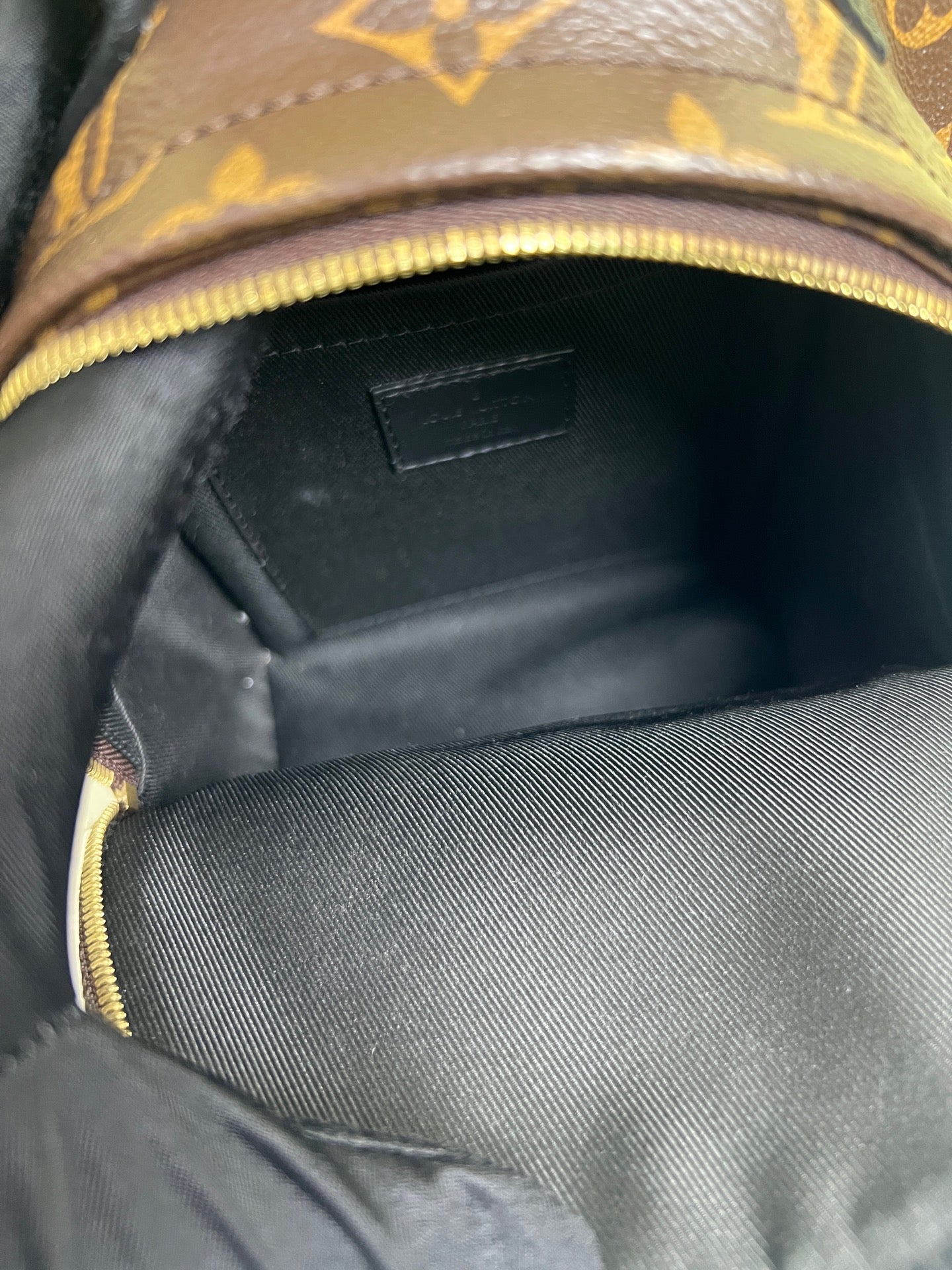 Louis Vuitton Backpack