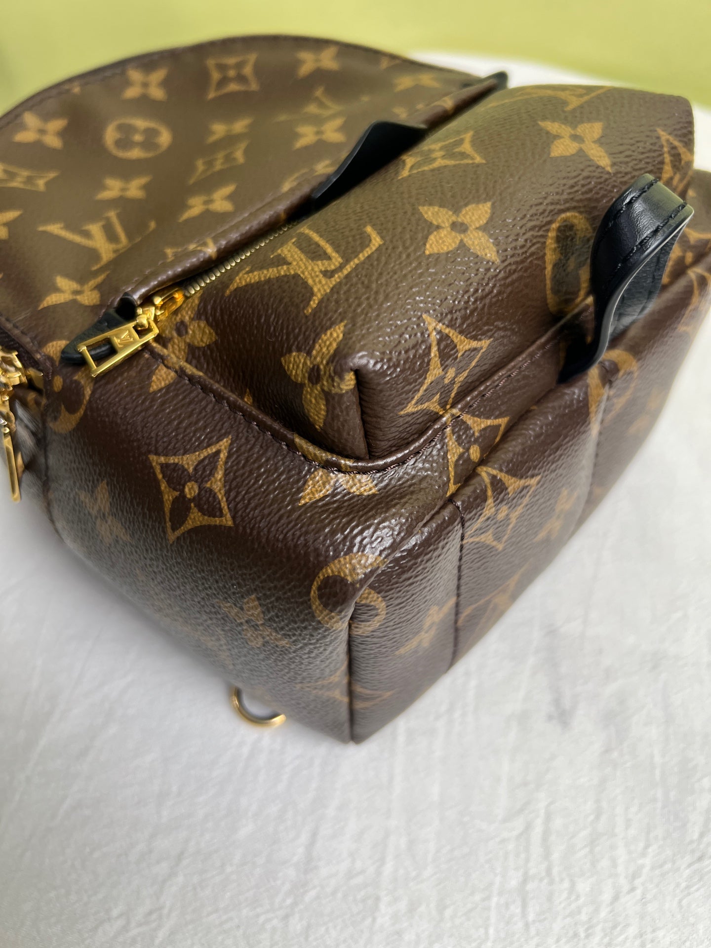 Louis Vuitton Backpack