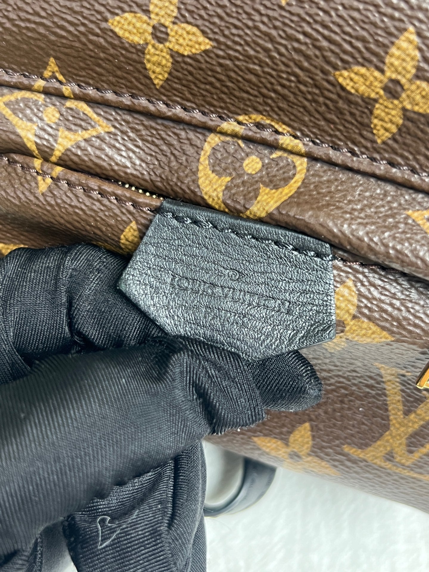 Louis Vuitton Backpack