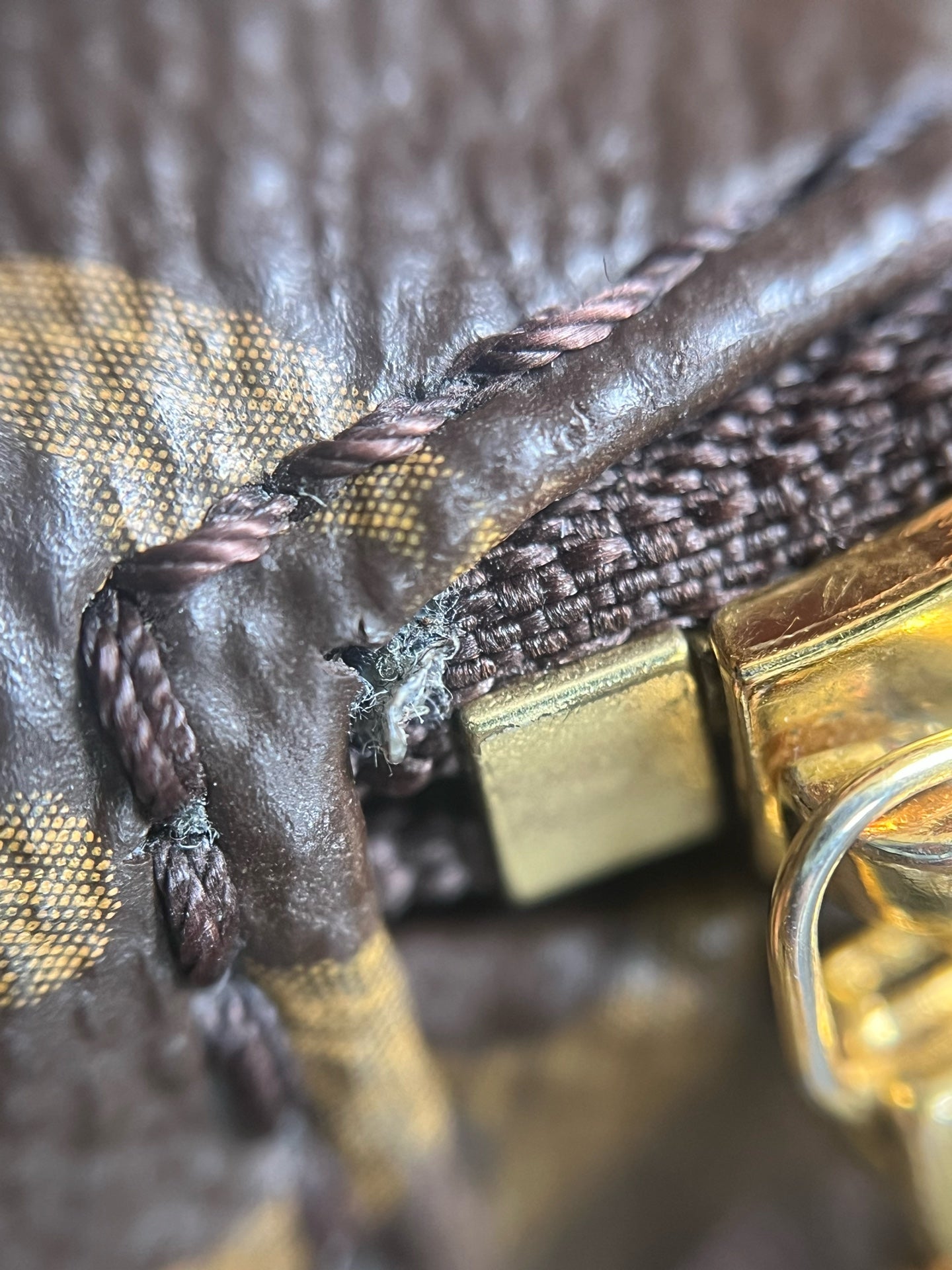 Louis Vuitton Backpack