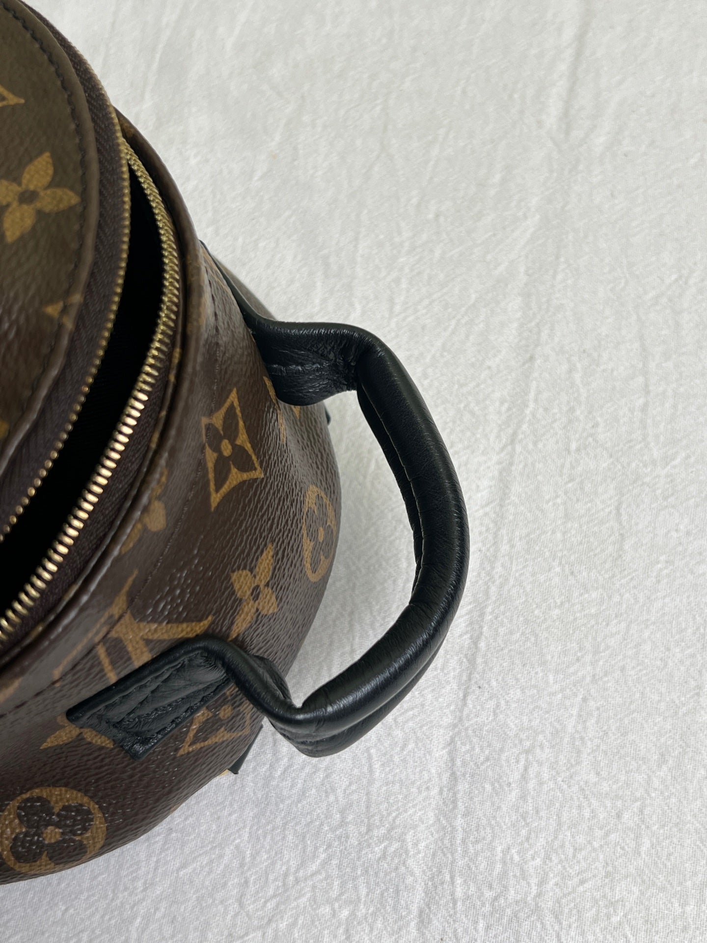 Louis Vuitton Backpack
