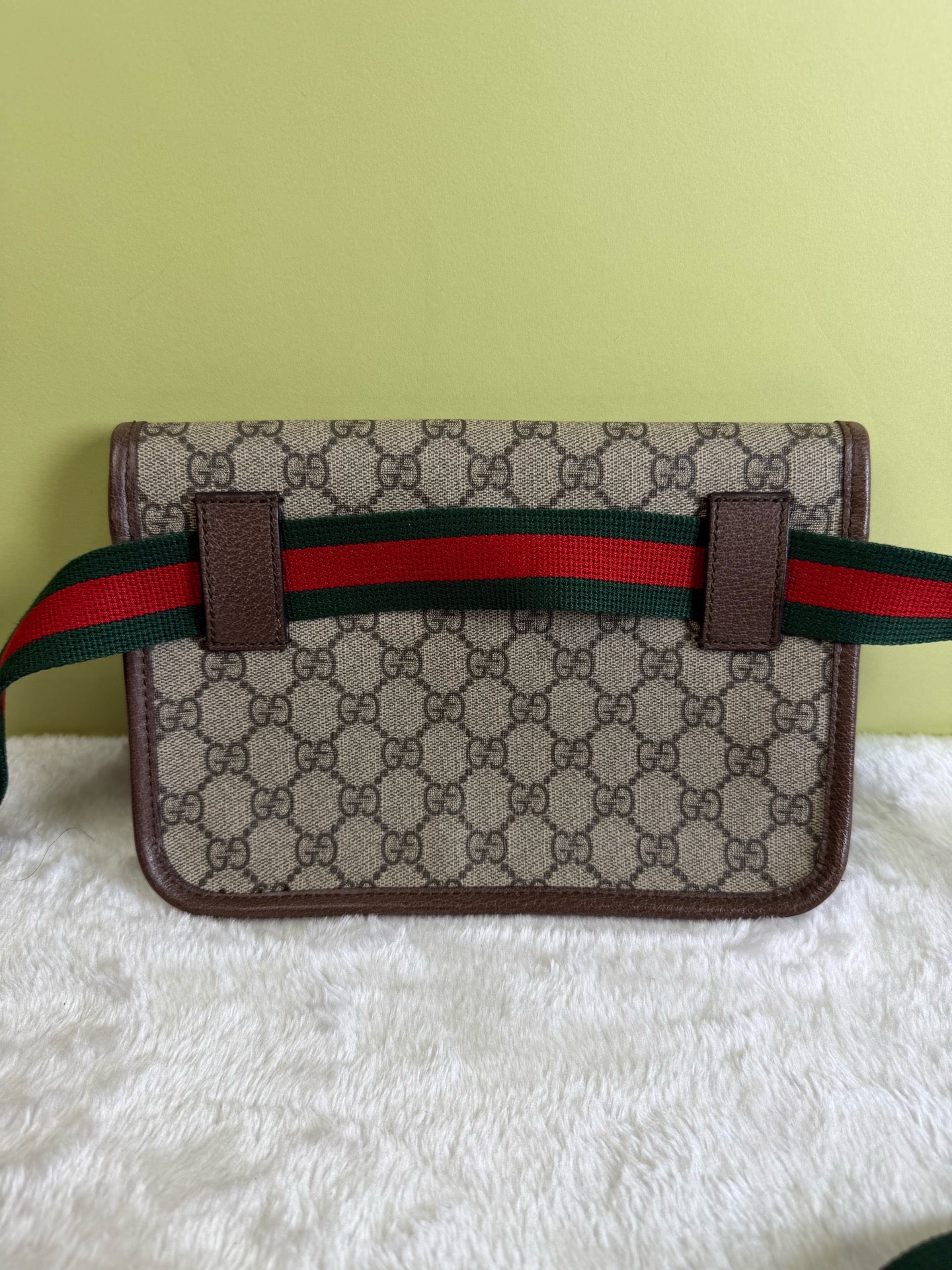 Gucci Belt Bag & Fanny Pack
