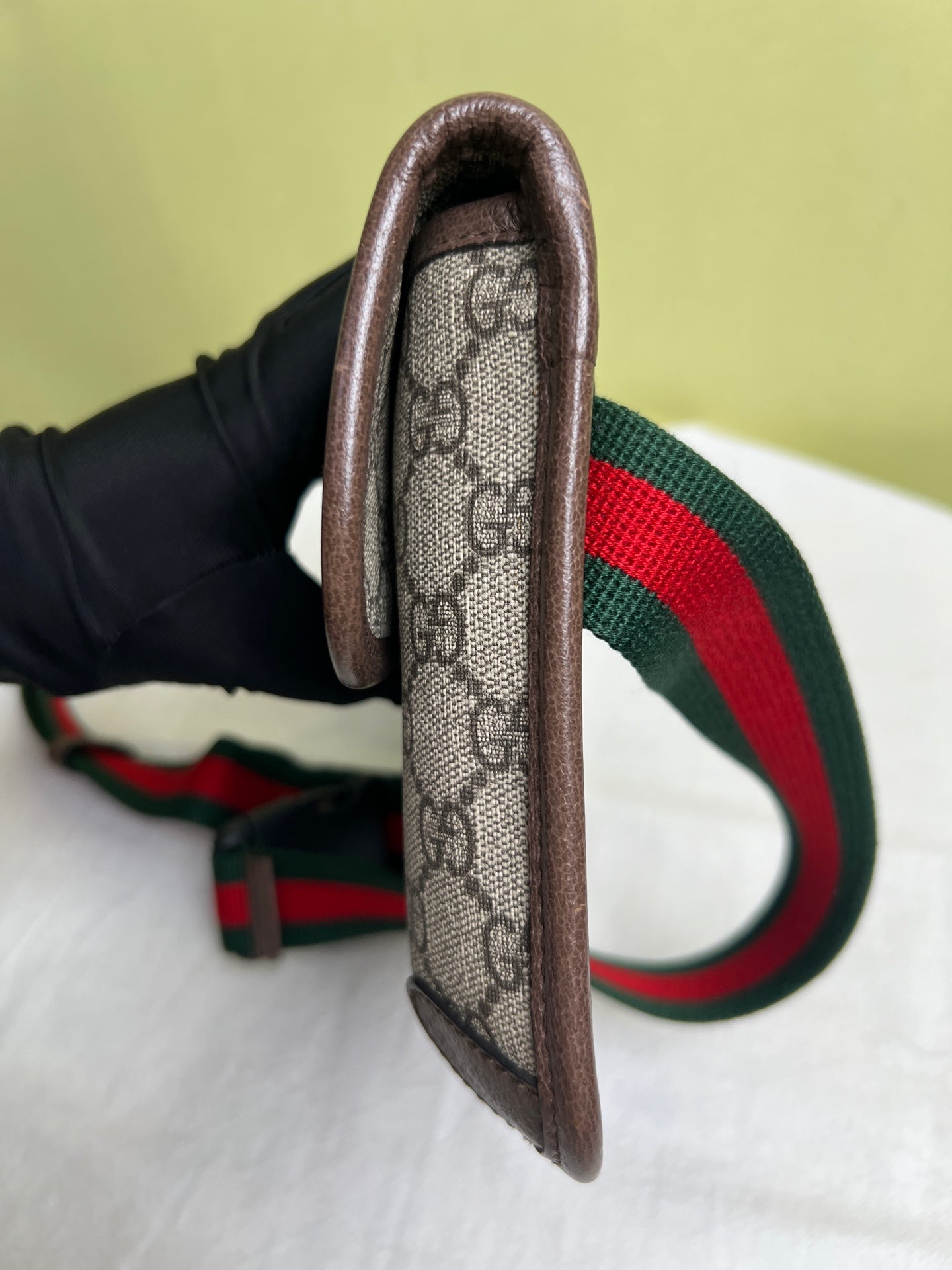 Gucci Belt Bag & Fanny Pack