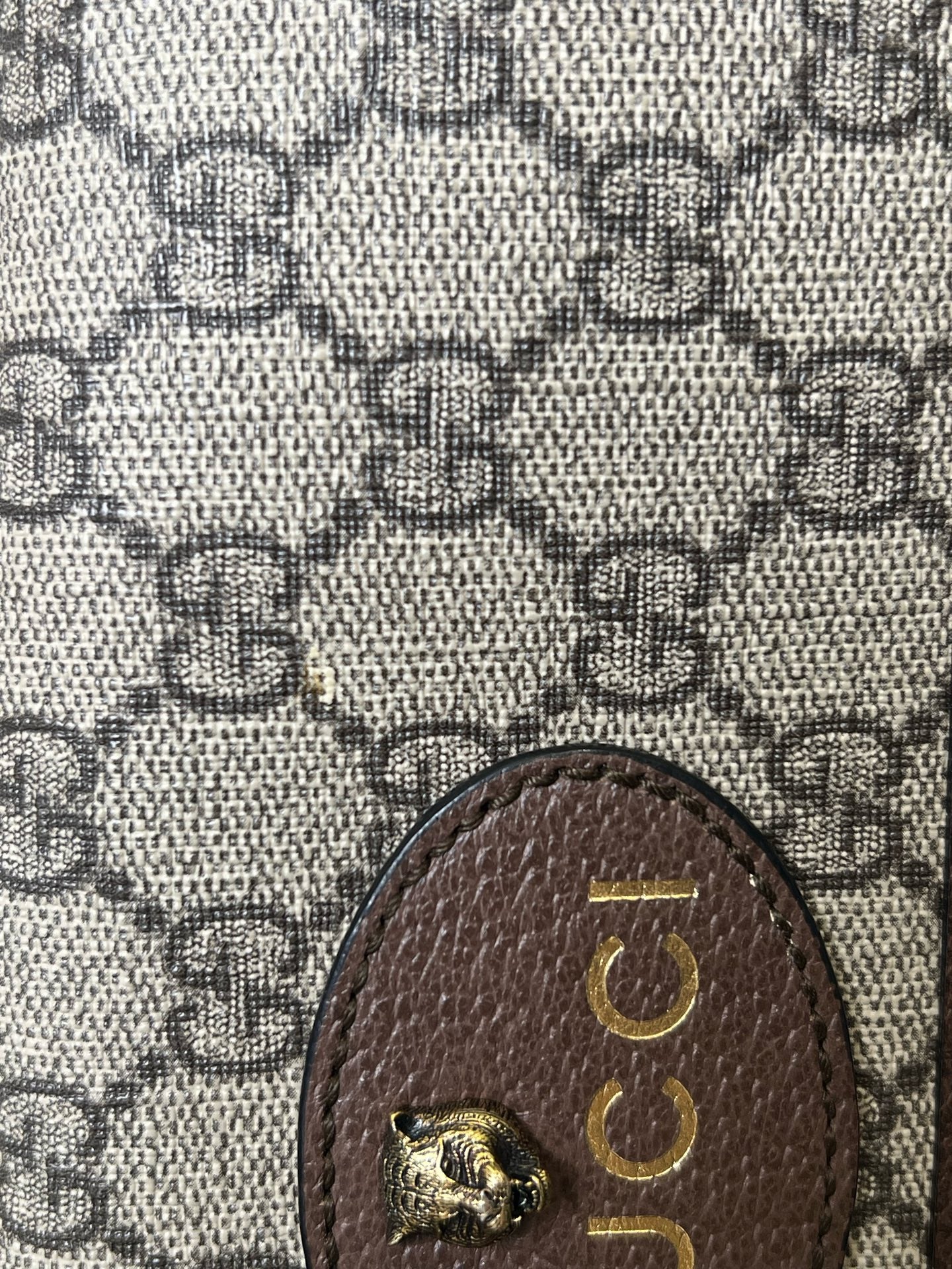 Gucci Belt Bag & Fanny Pack