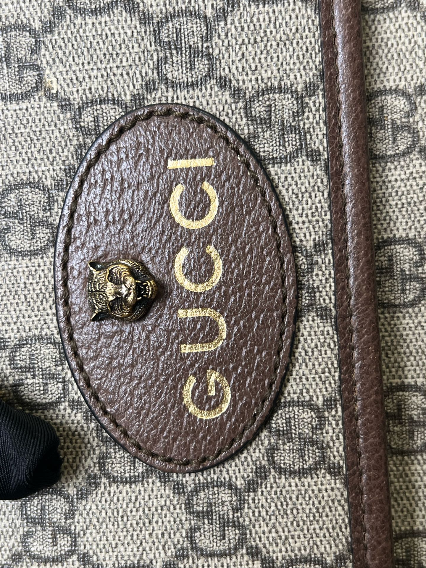 Gucci Belt Bag & Fanny Pack
