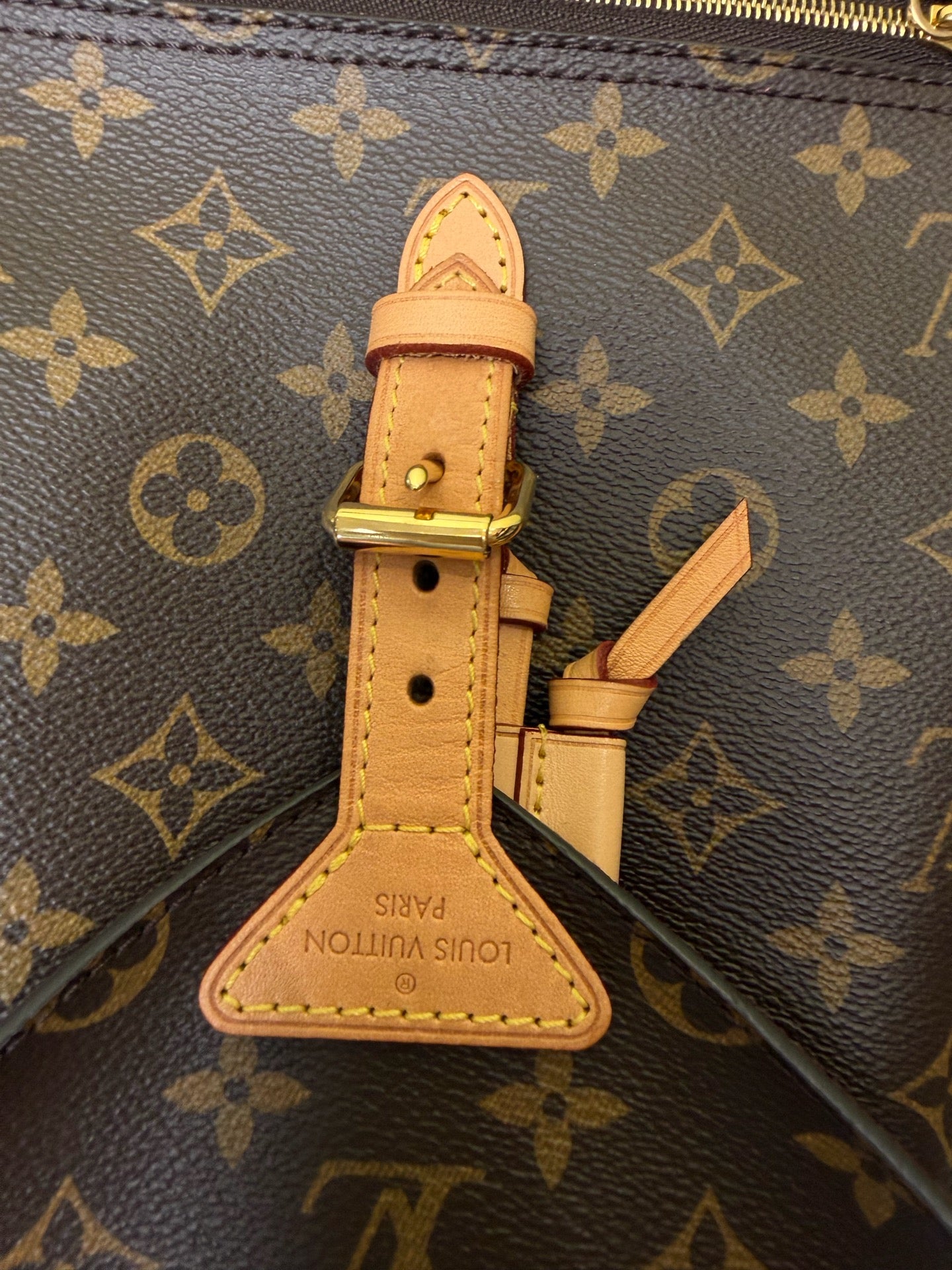 Louis Vuitton Backpack
