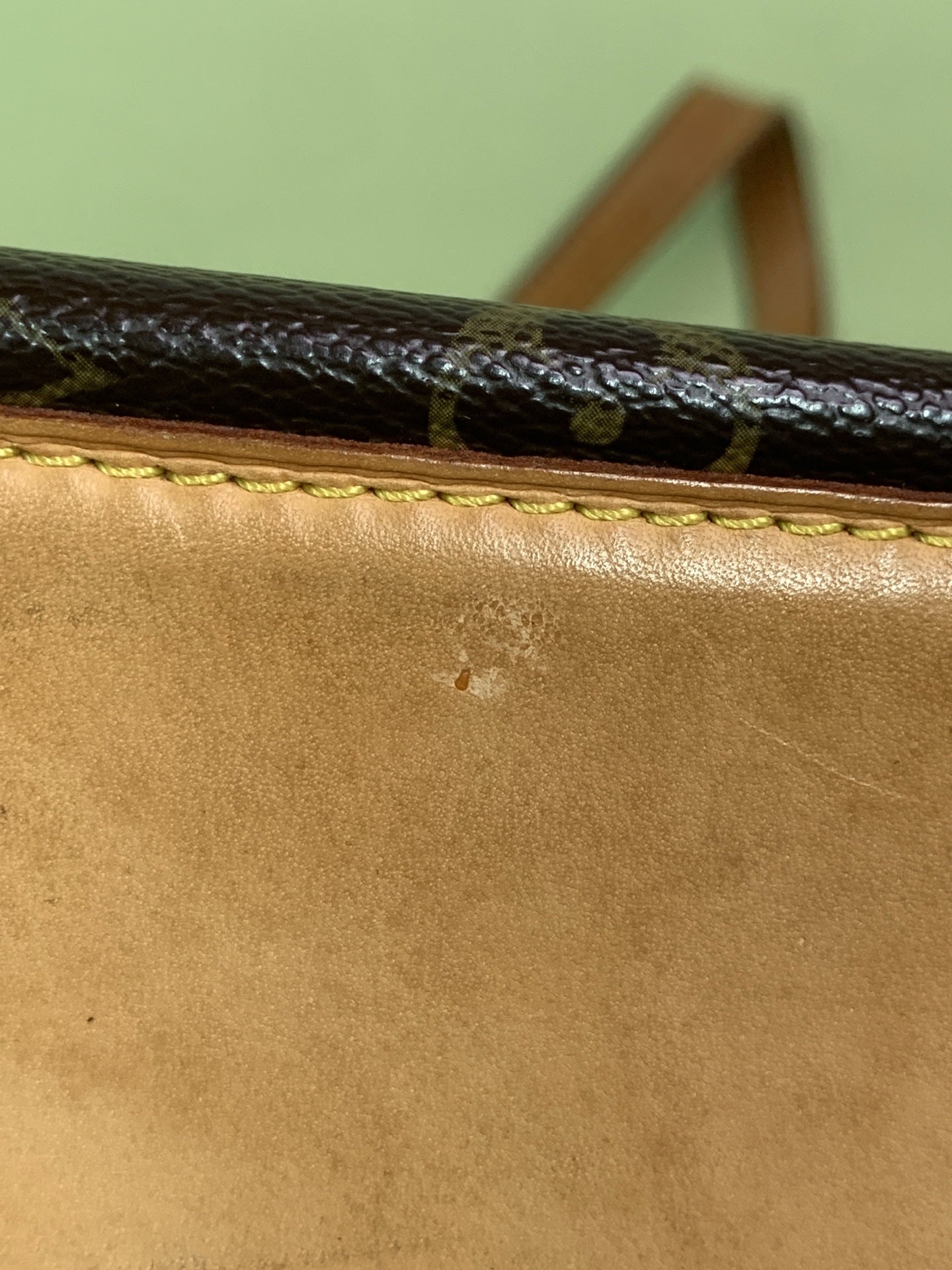 Louis Vuitton Tote