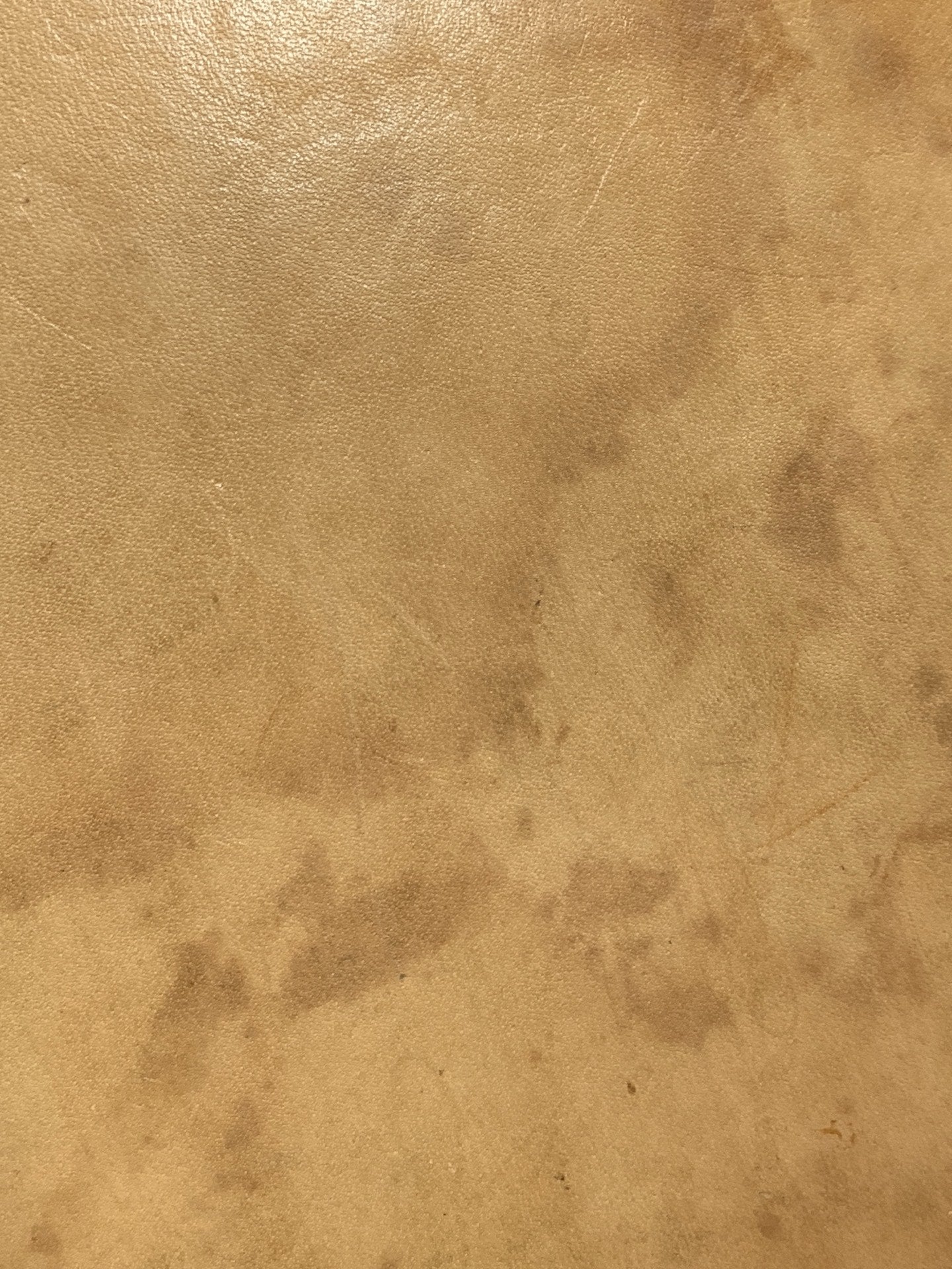 Louis Vuitton Tote