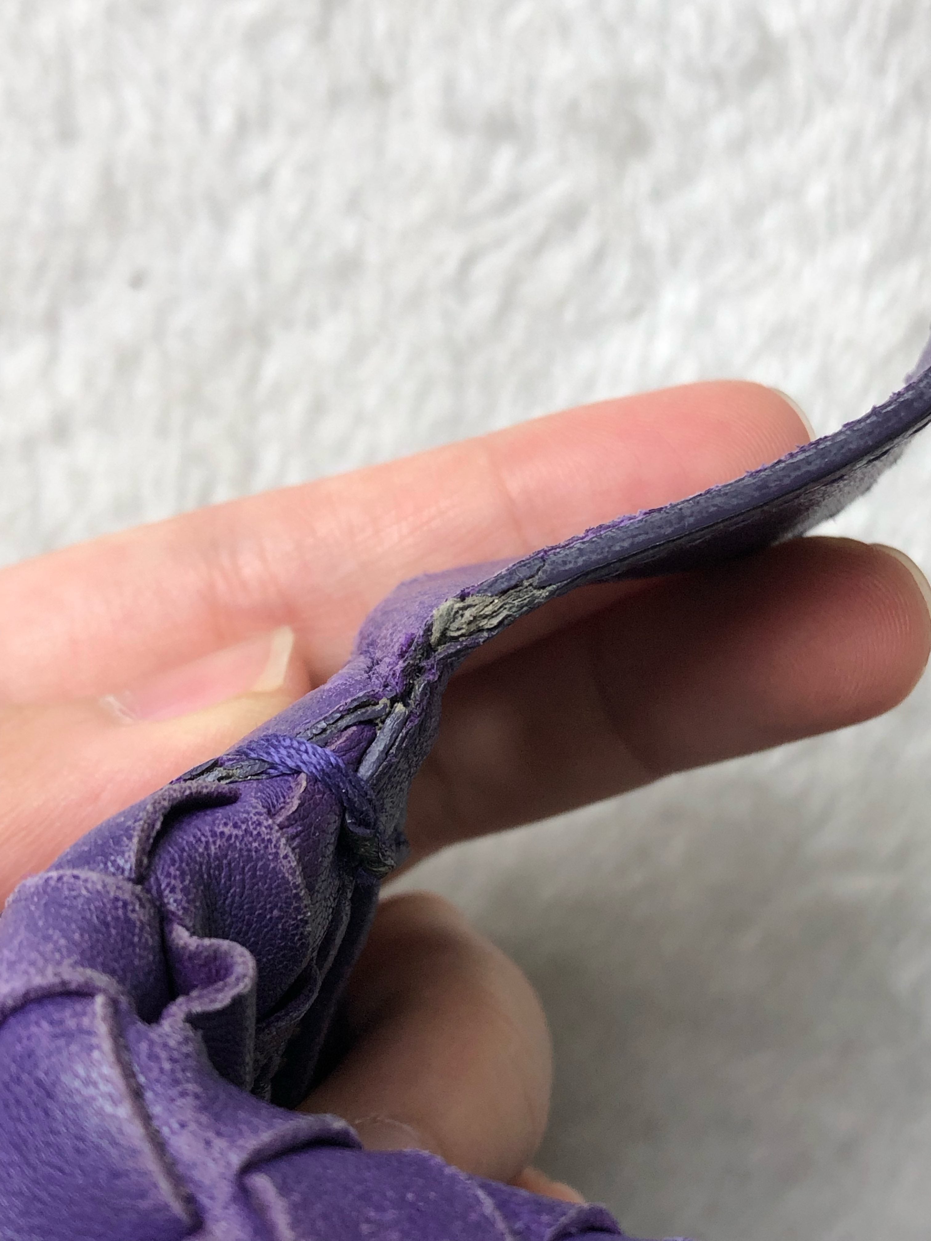 Bottega Veneta Purple