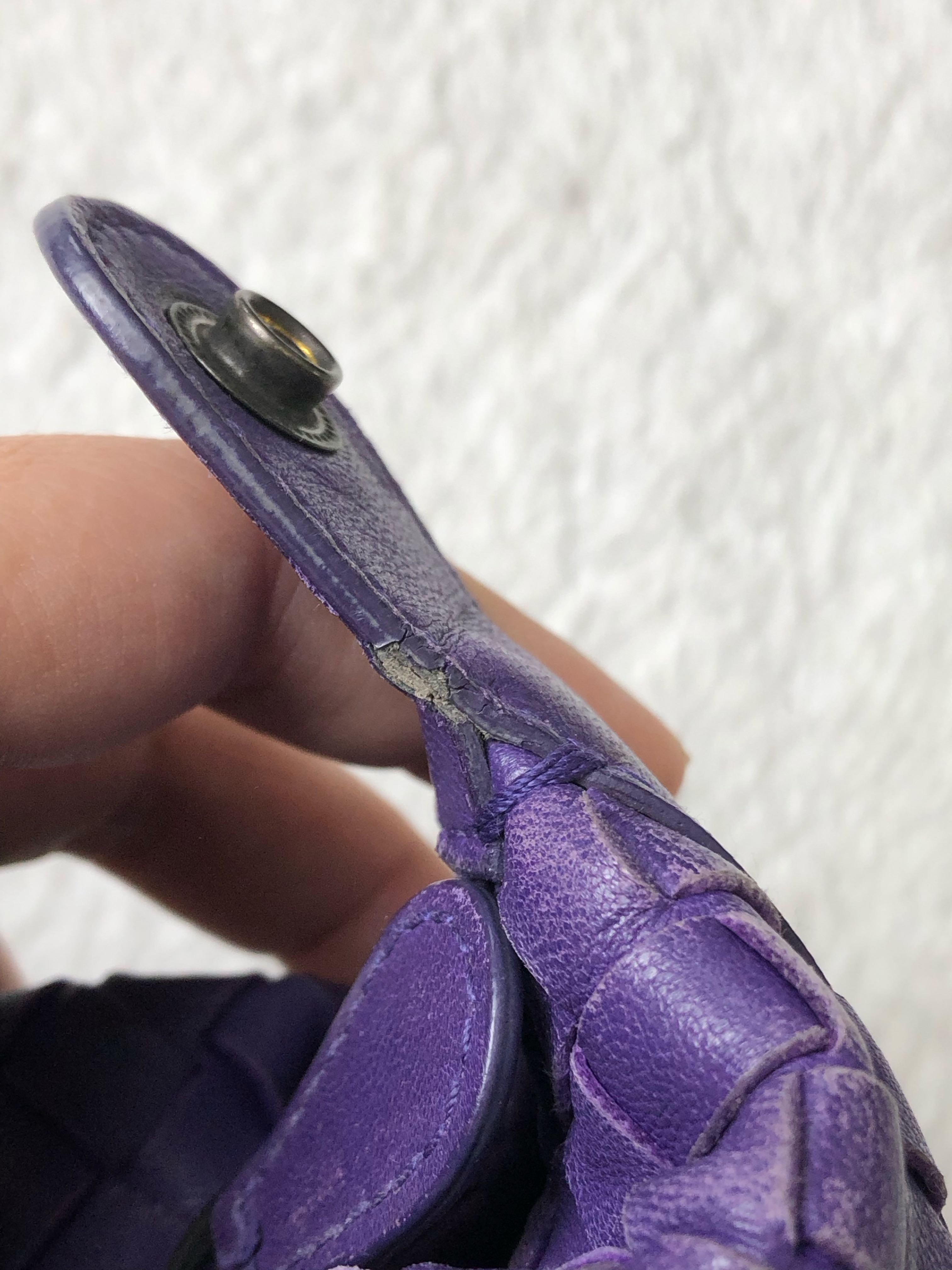 Bottega Veneta Purple