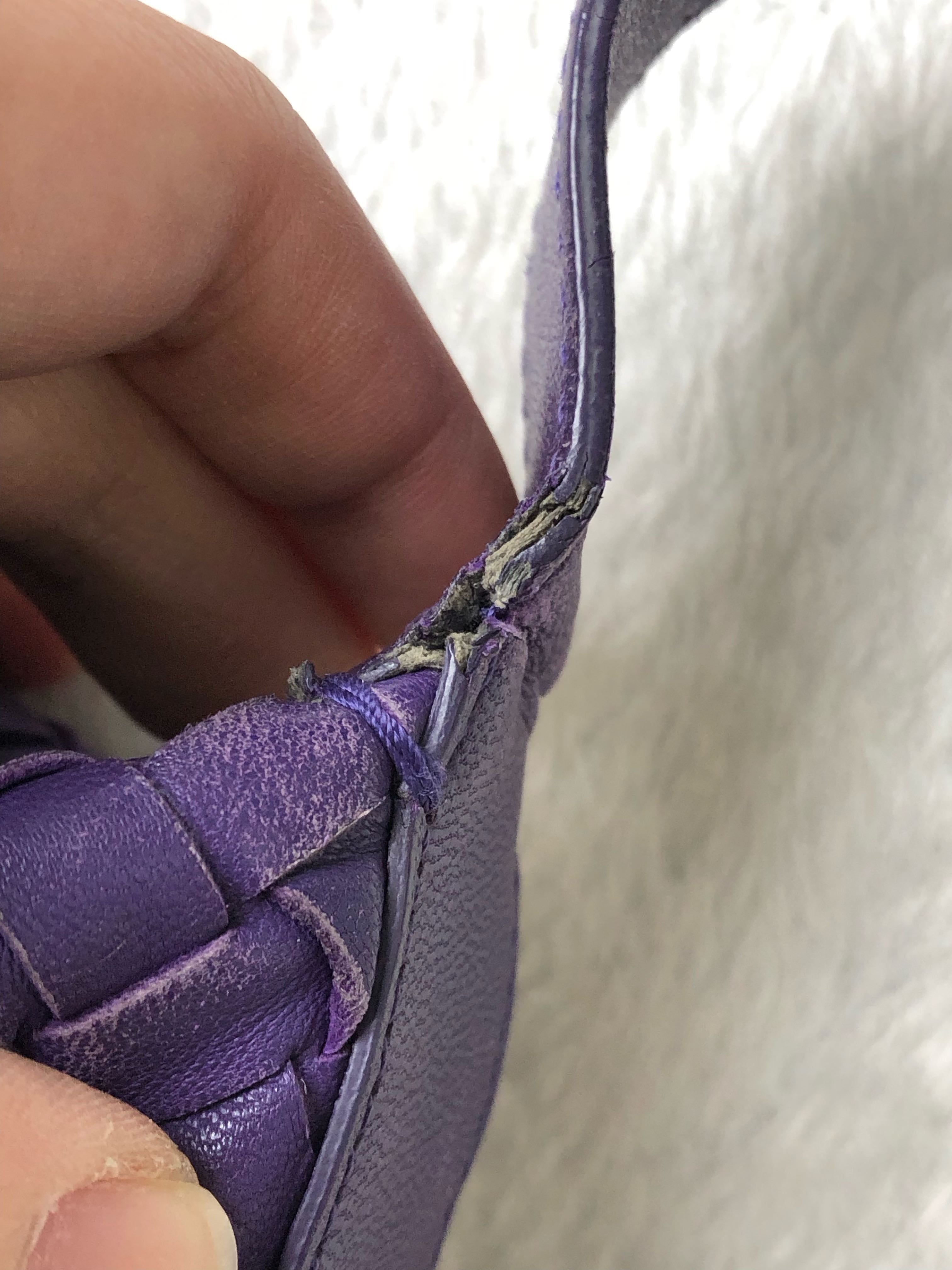 Bottega Veneta Purple